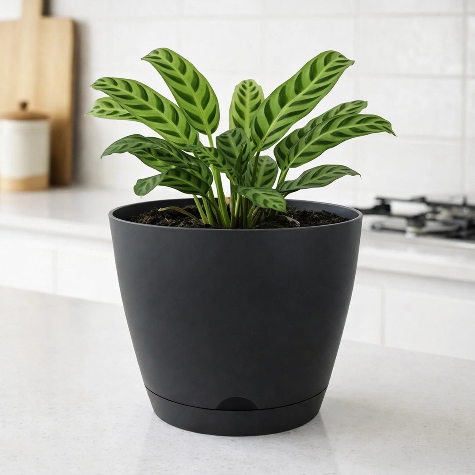 Moda 20cm Charcoal Oslo Self-Watering Planter, medium charcoal modern round pot with built-in water reservoir