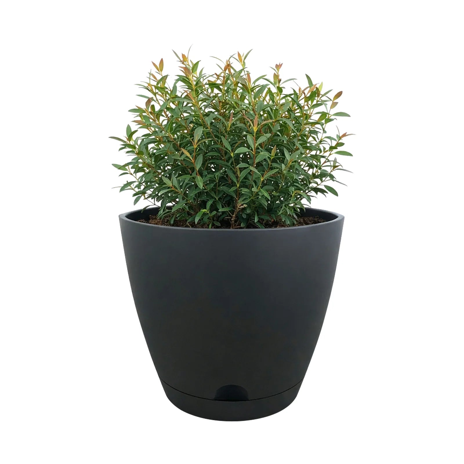 Moda 20cm Charcoal Oslo Self-Watering Planter, medium charcoal modern round pot with built-in water reservoir