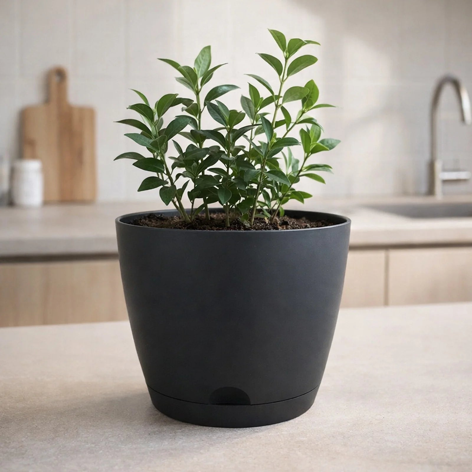 Moda 20cm Charcoal Oslo Self-Watering Planter, medium charcoal modern round pot with built-in water reservoir