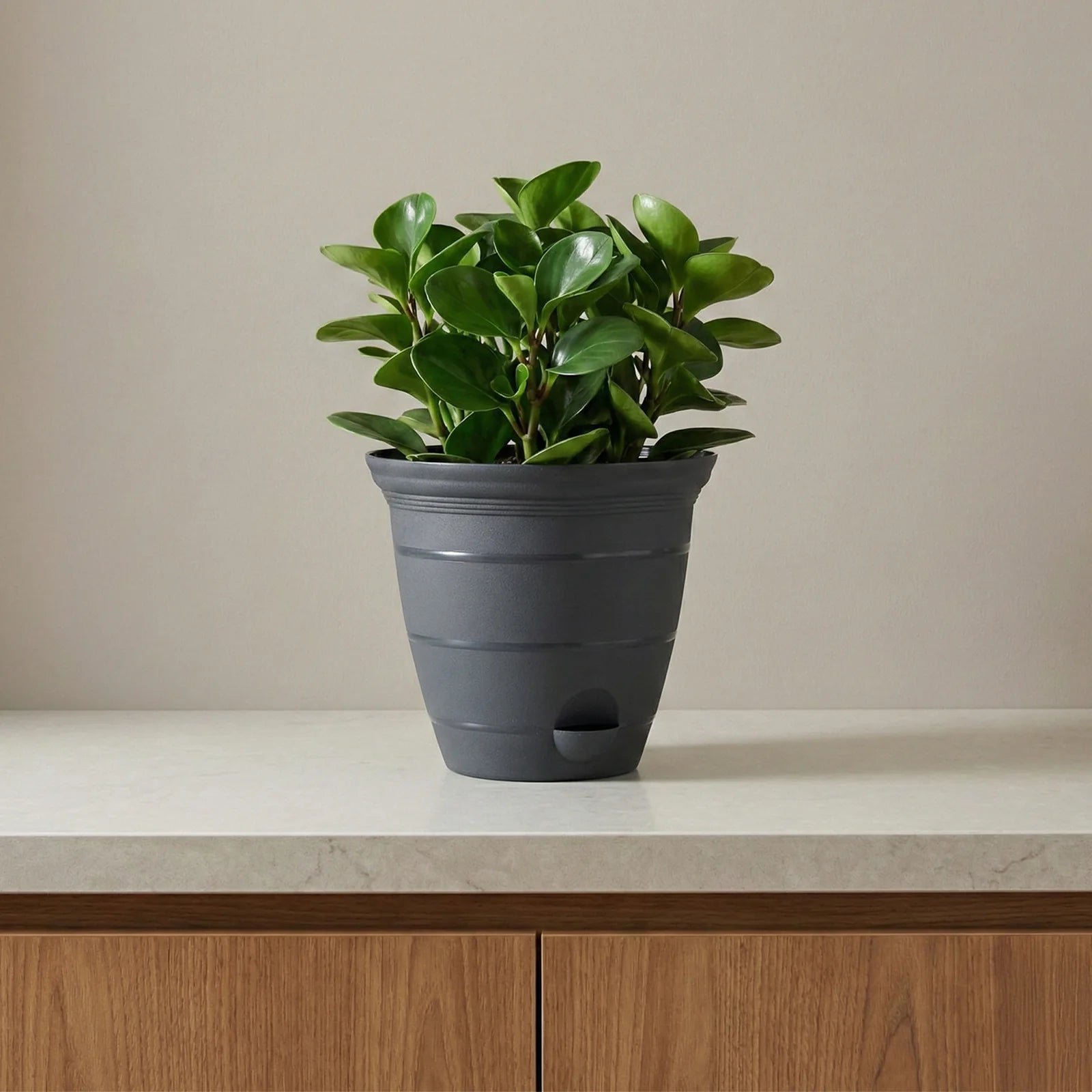 Moda 20cm Charcoal Roman Self-Watering Planter, medium charcoal classic-style pot with built-in water reservoir