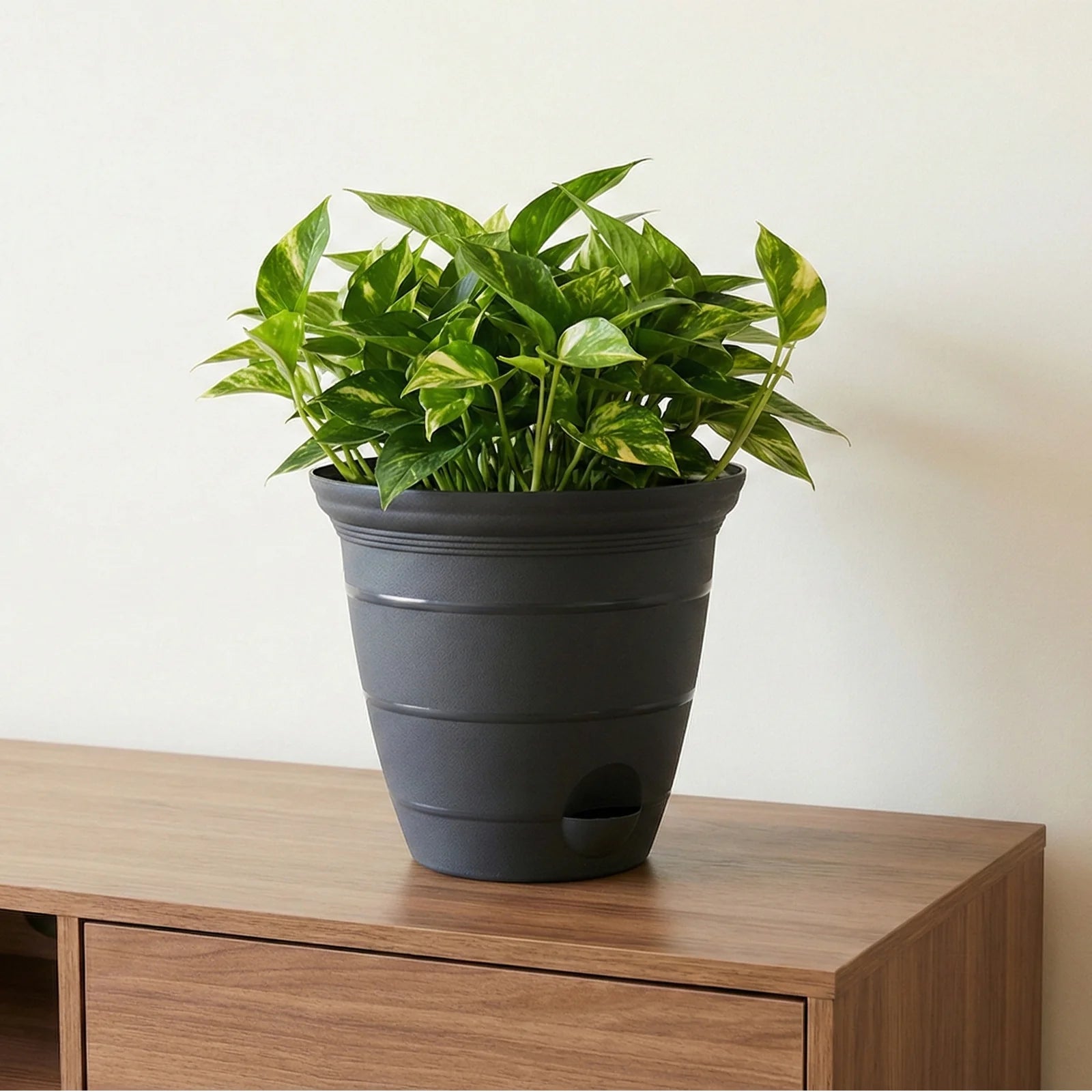 Moda 20cm Charcoal Roman Self-Watering Planter, medium charcoal classic-style pot with built-in water reservoir