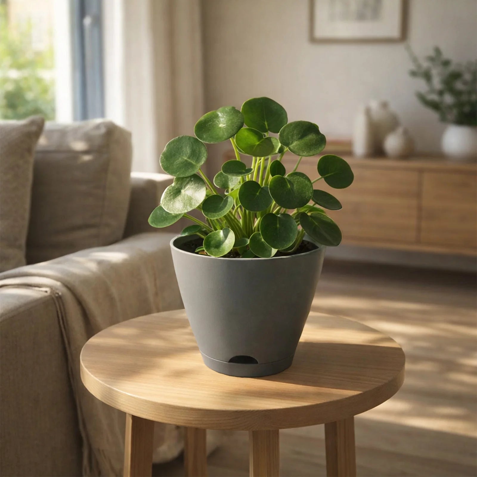 Moda 20cm Grey Oslo Self-Watering Planter, medium grey modern round pot with built-in water reservoir