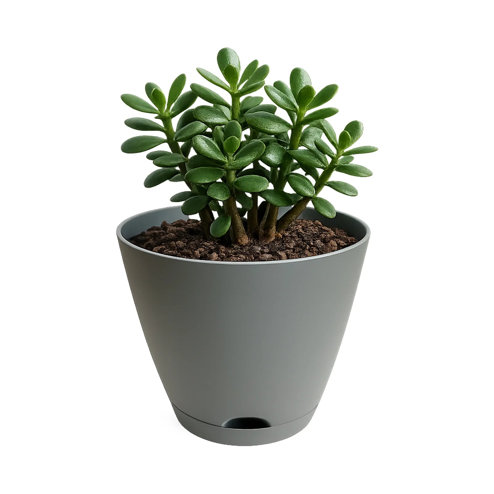 Moda 20cm Grey Oslo Self-Watering Planter, medium grey modern round pot with built-in water reservoir