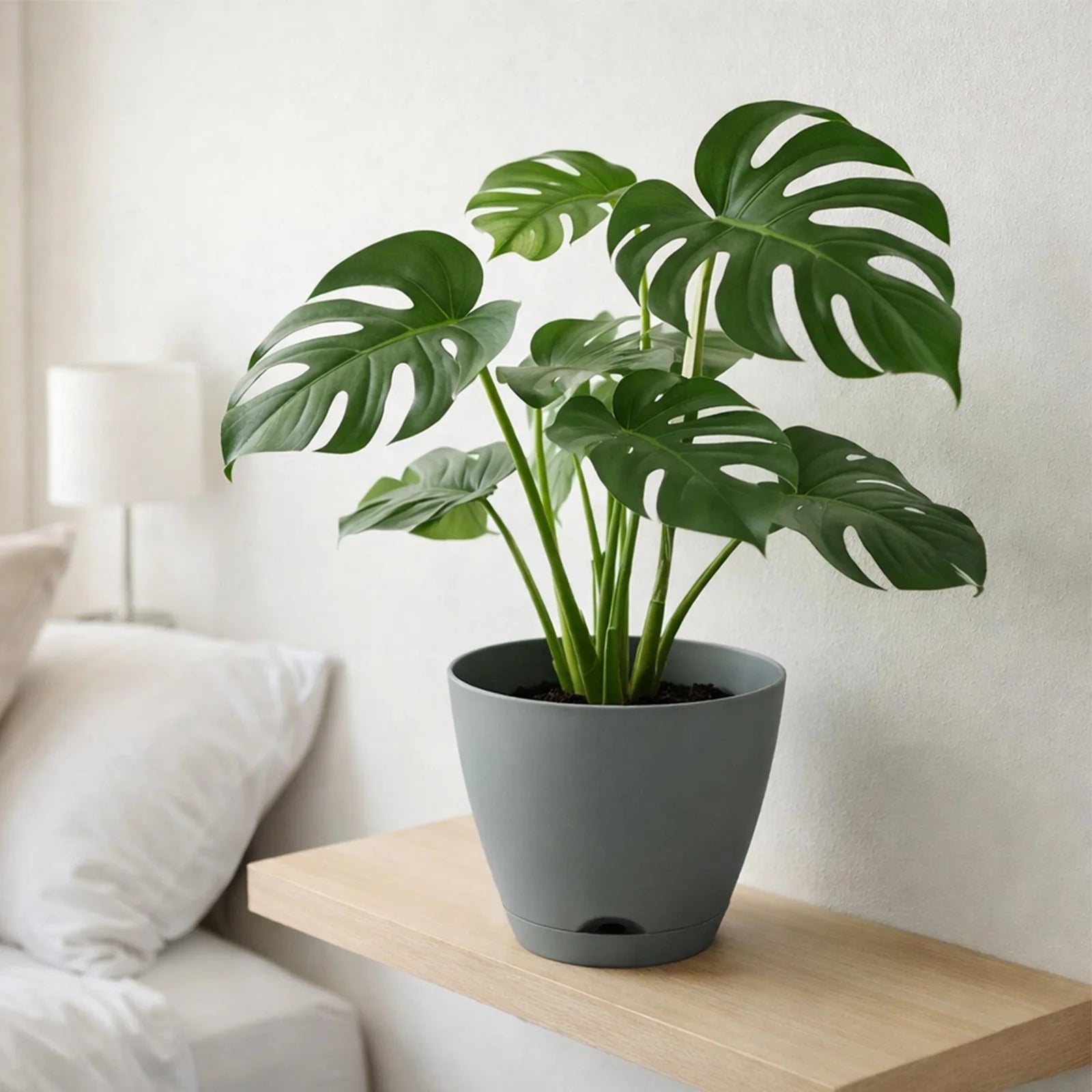 Moda 20cm Grey Oslo Self-Watering Planter, medium grey modern round pot with built-in water reservoir