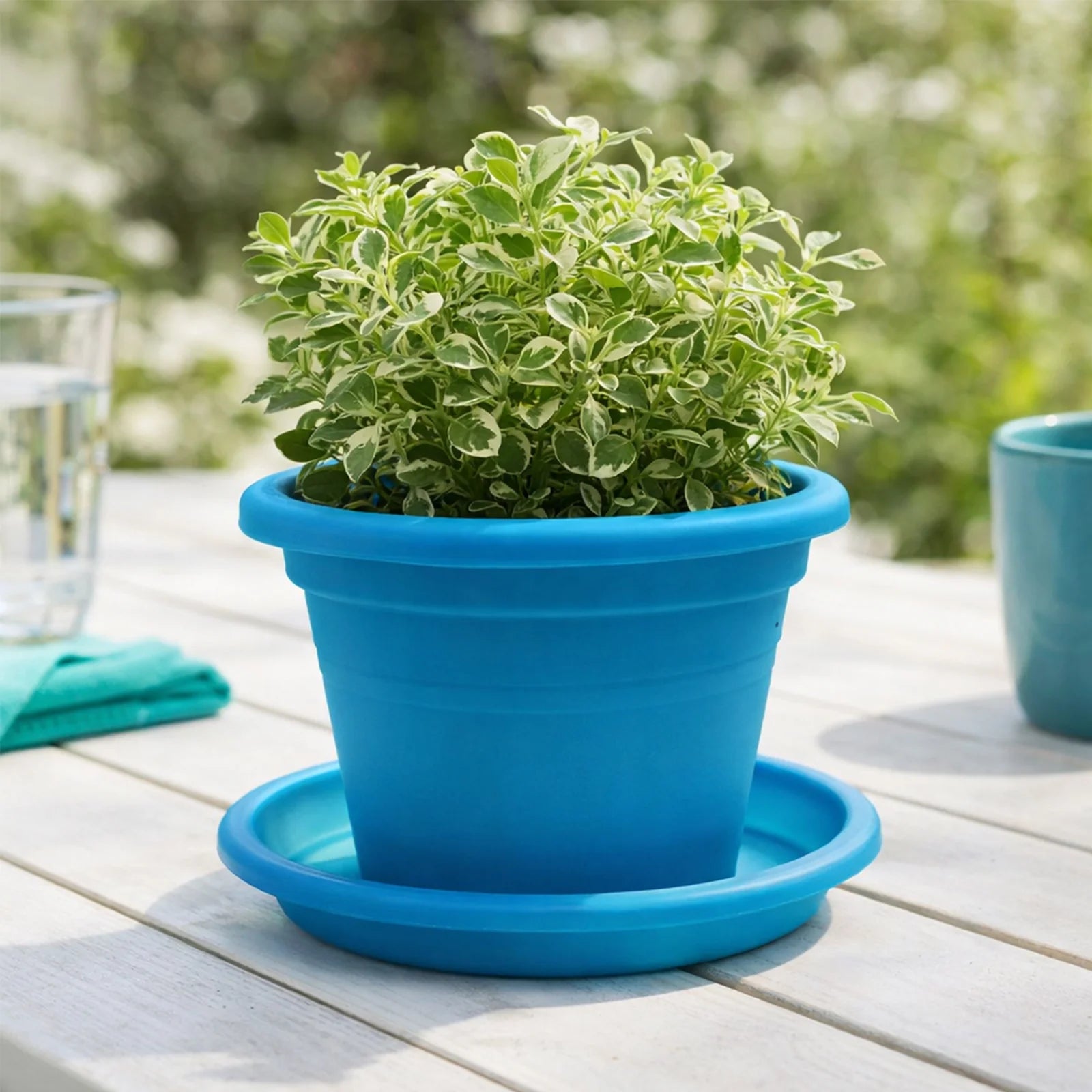 Moda 22cm Aqua Transparent Round Plant Saucer, medium aqua clear plastic drip tray for indoor pots