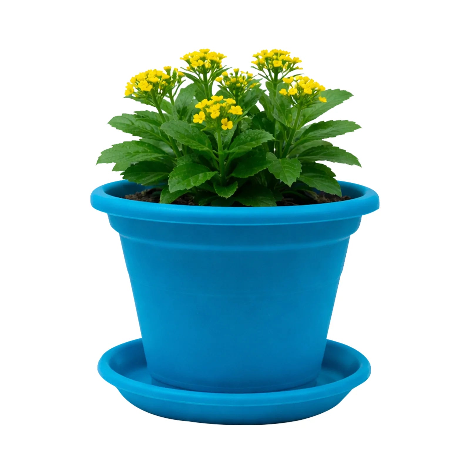 Moda 22cm Aqua Transparent Round Plant Saucer, medium aqua clear plastic drip tray for indoor pots