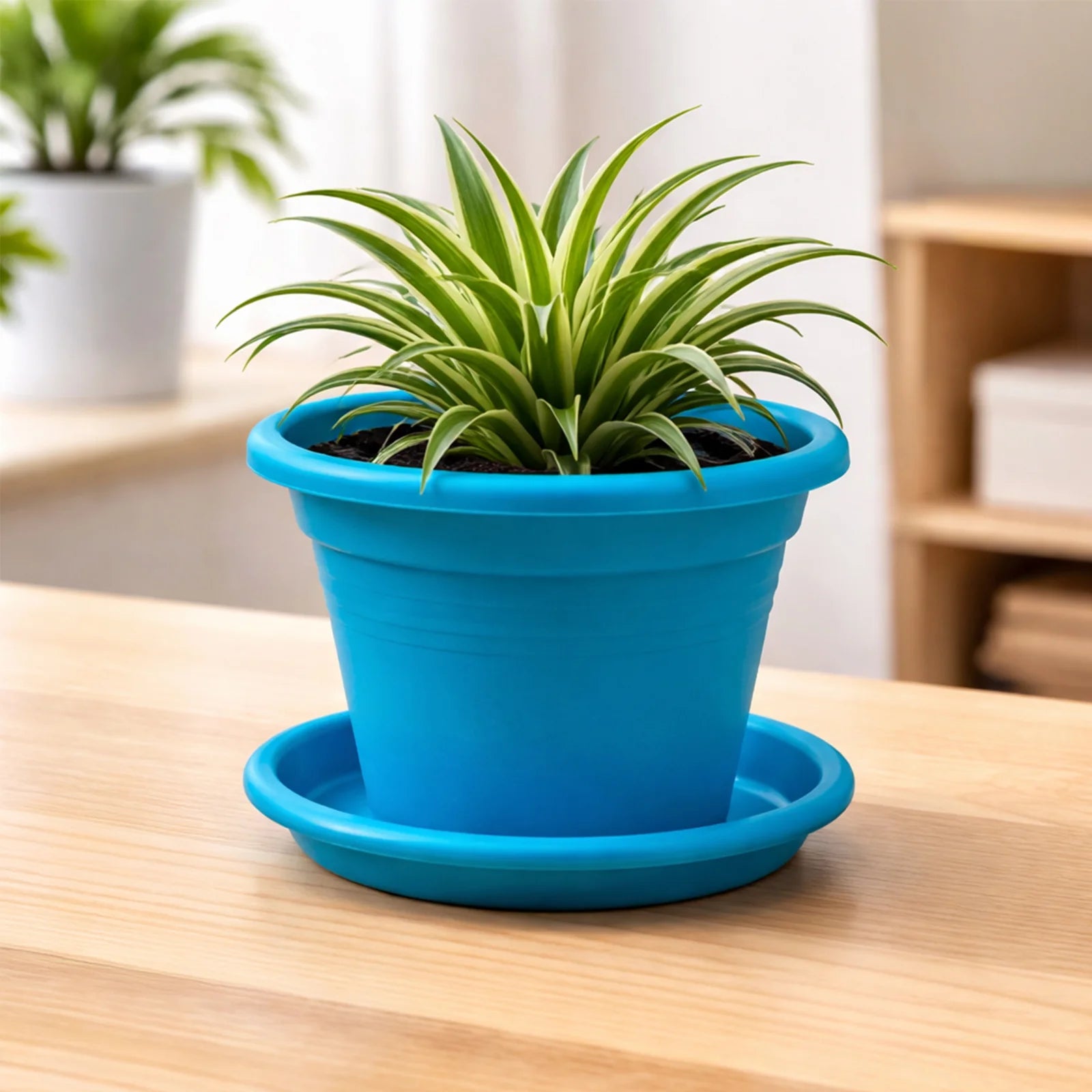 Moda 22cm Aqua Transparent Round Plant Saucer, medium aqua clear plastic drip tray for indoor pots