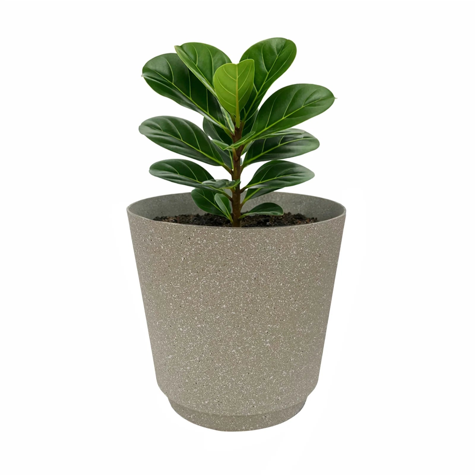 Moda 22cm Beige Round StoneLite Self-Watering Plastic Pot, medium beige stone-look pot with self-watering reservoir