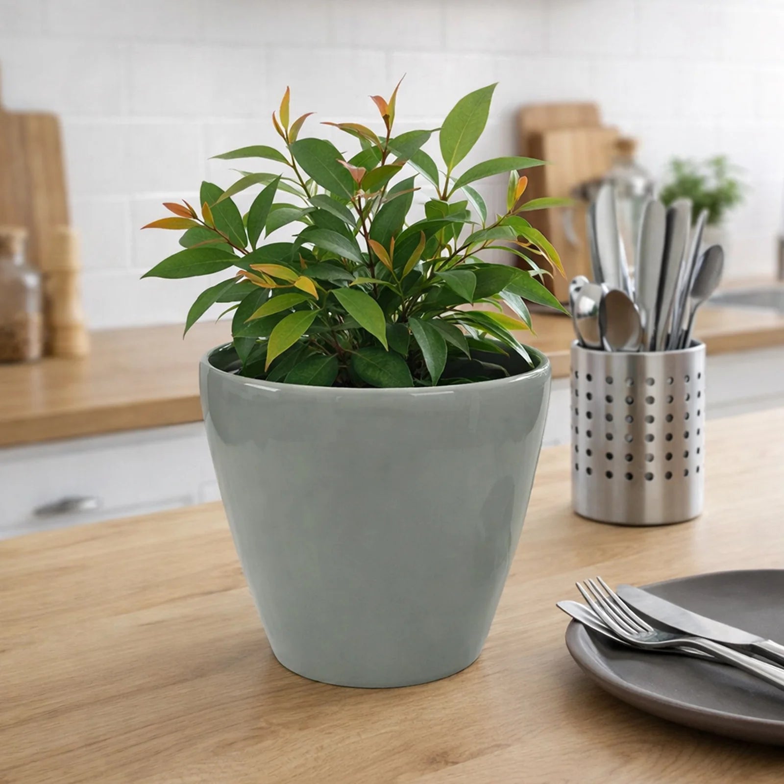 Moda 22cm Blue Round Premium Self-Watering Plastic Pot, medium blue pot with built-in water reservoir