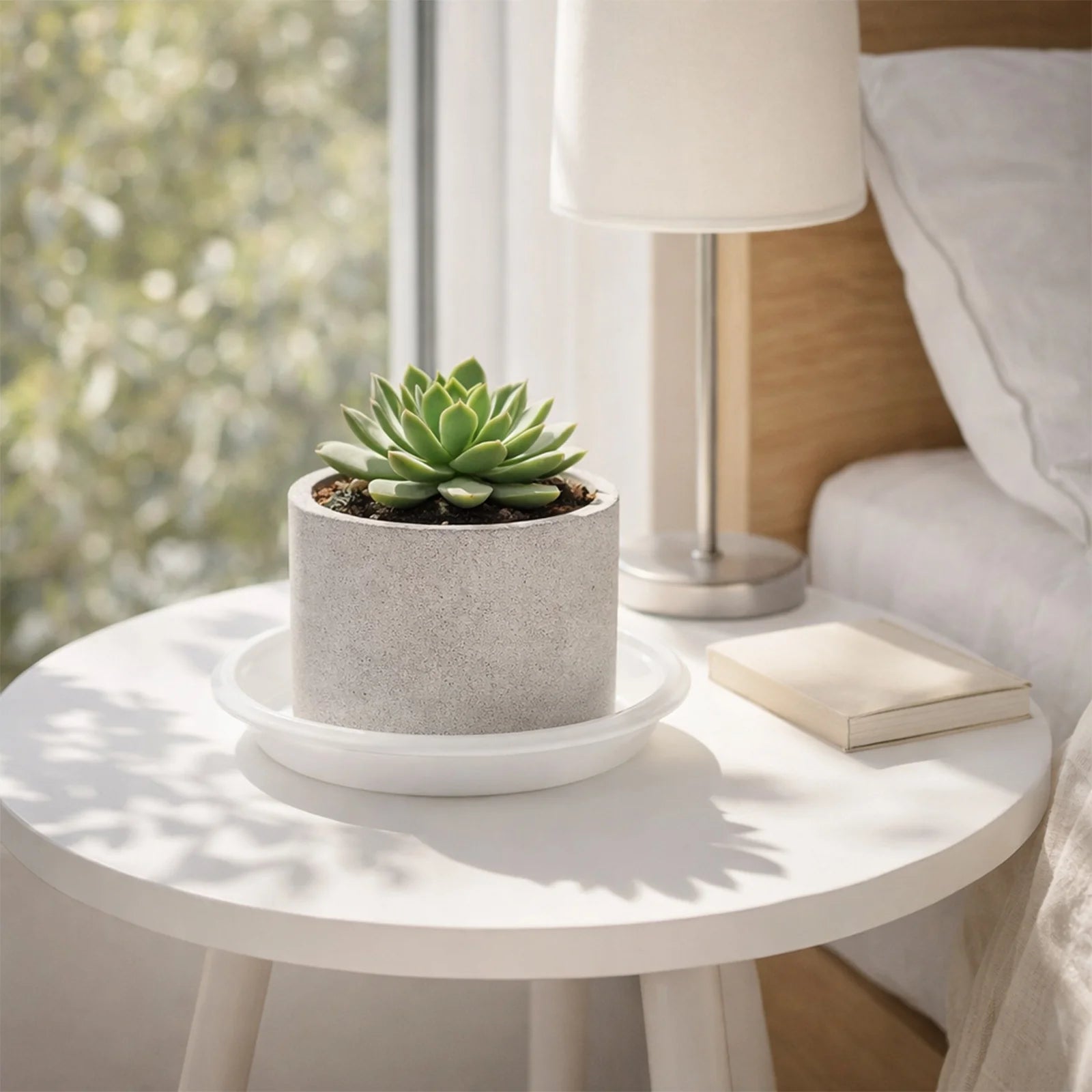 Moda 22cm Clear White Transparent Plant Saucer, large clear plastic drip tray for indoor pots