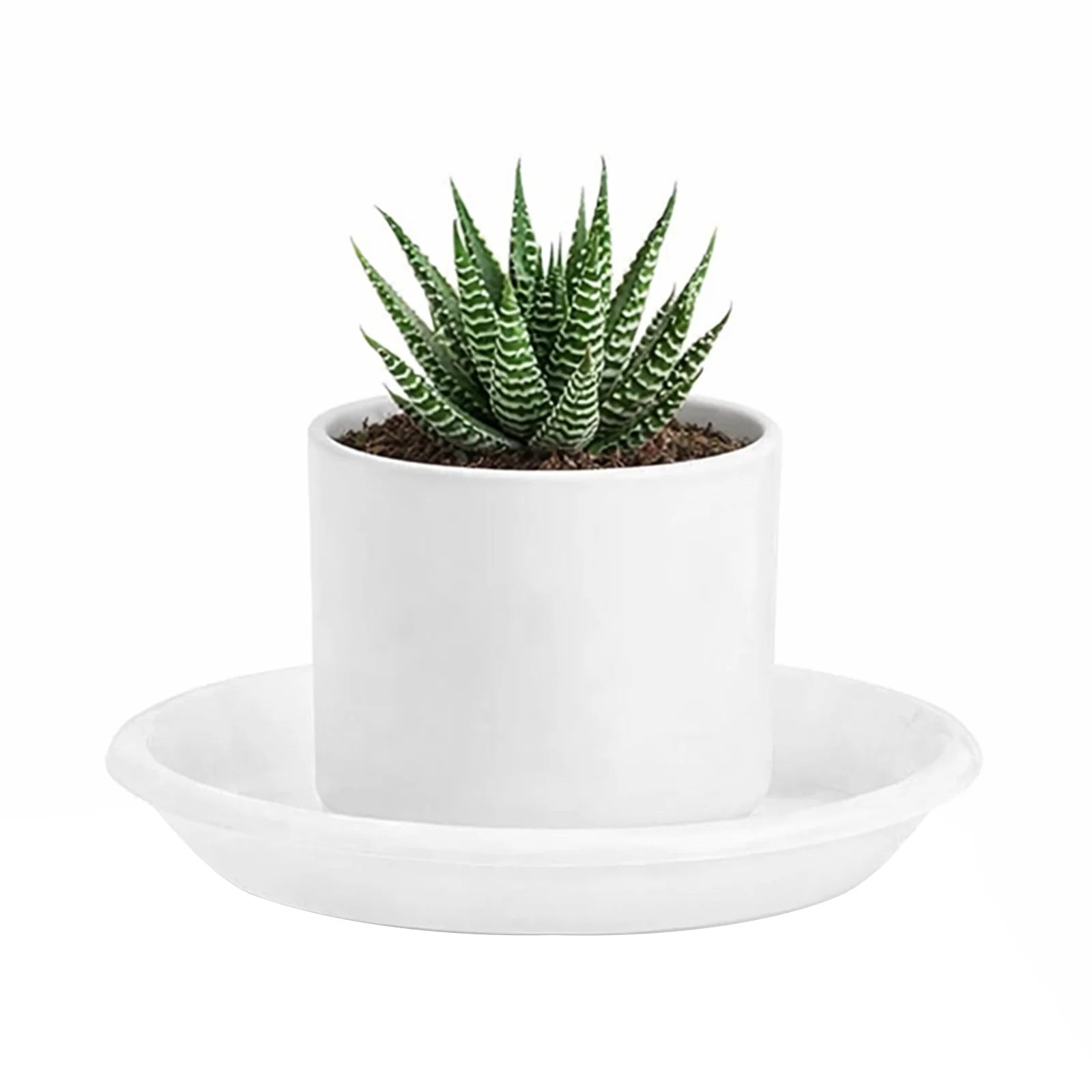 Moda 22cm Clear White Transparent Plant Saucer, large clear plastic drip tray for indoor pots