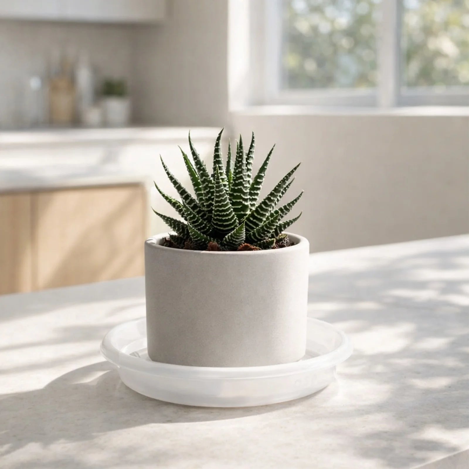 Moda 22cm Clear White Transparent Plant Saucer, large clear plastic drip tray for indoor pots