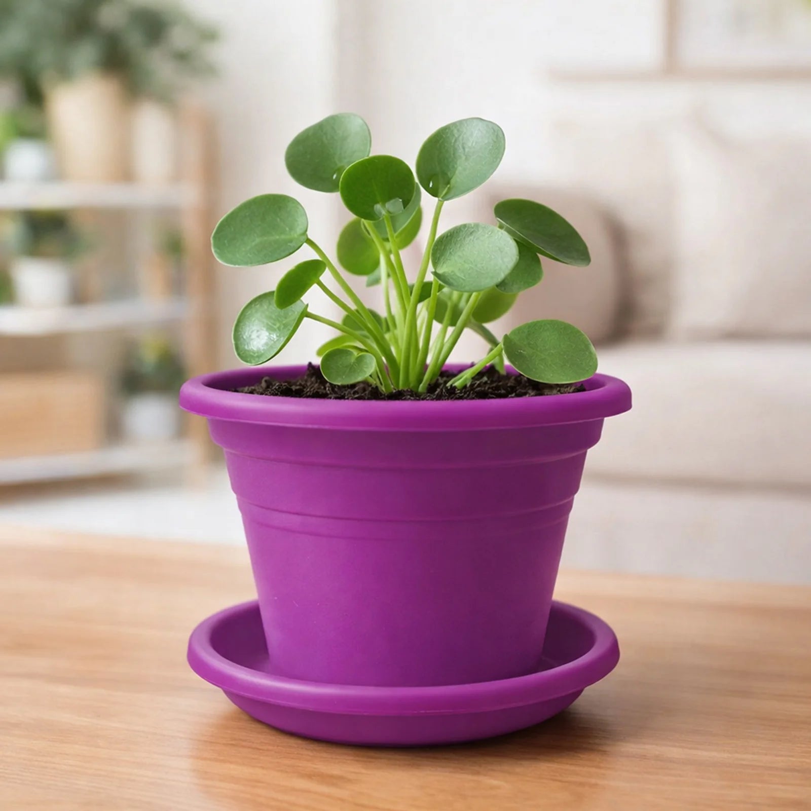 Moda 22cm Purple Transparent Round Plant Saucer, medium purple clear plastic drip tray for indoor pots