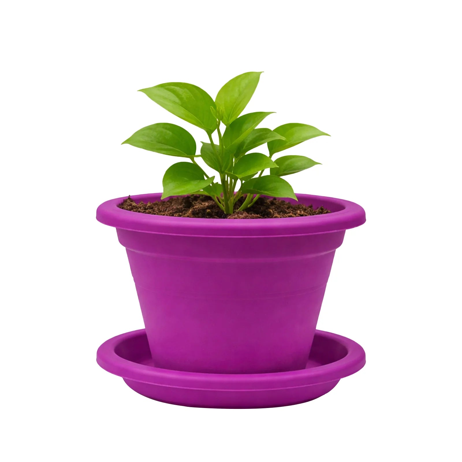 Moda 22cm Purple Transparent Round Plant Saucer, medium purple clear plastic drip tray for indoor pots