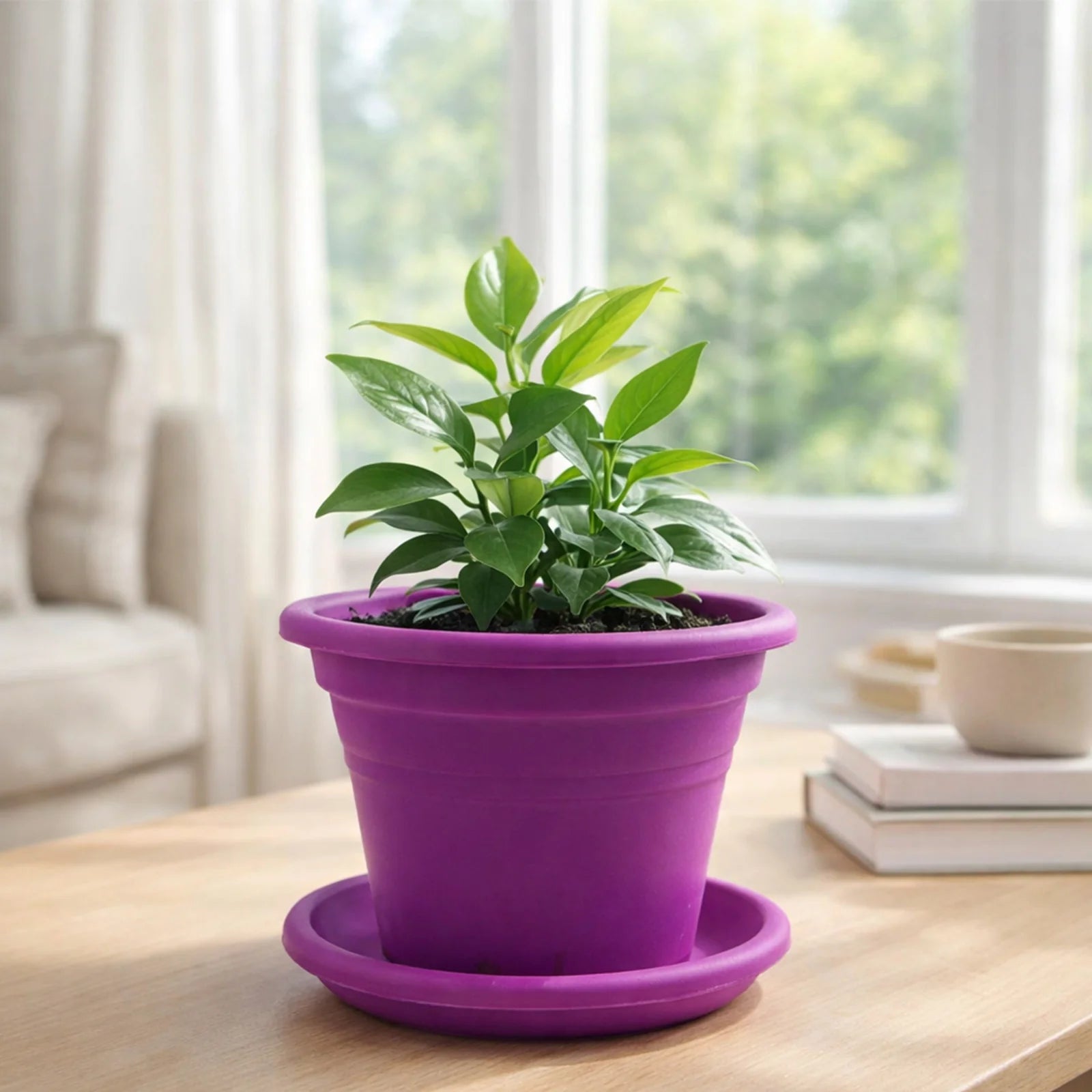 Moda 22cm Purple Transparent Round Plant Saucer, medium purple clear plastic drip tray for indoor pots