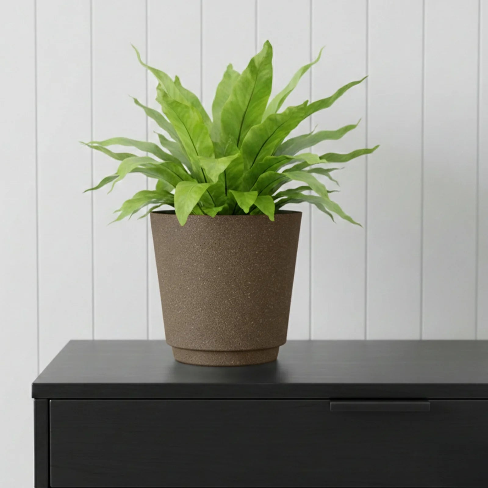 Moda 22cm Brown Round Stonelite Self-Watering Plastic Pot, medium brown stone-look pot with self-watering reservoir