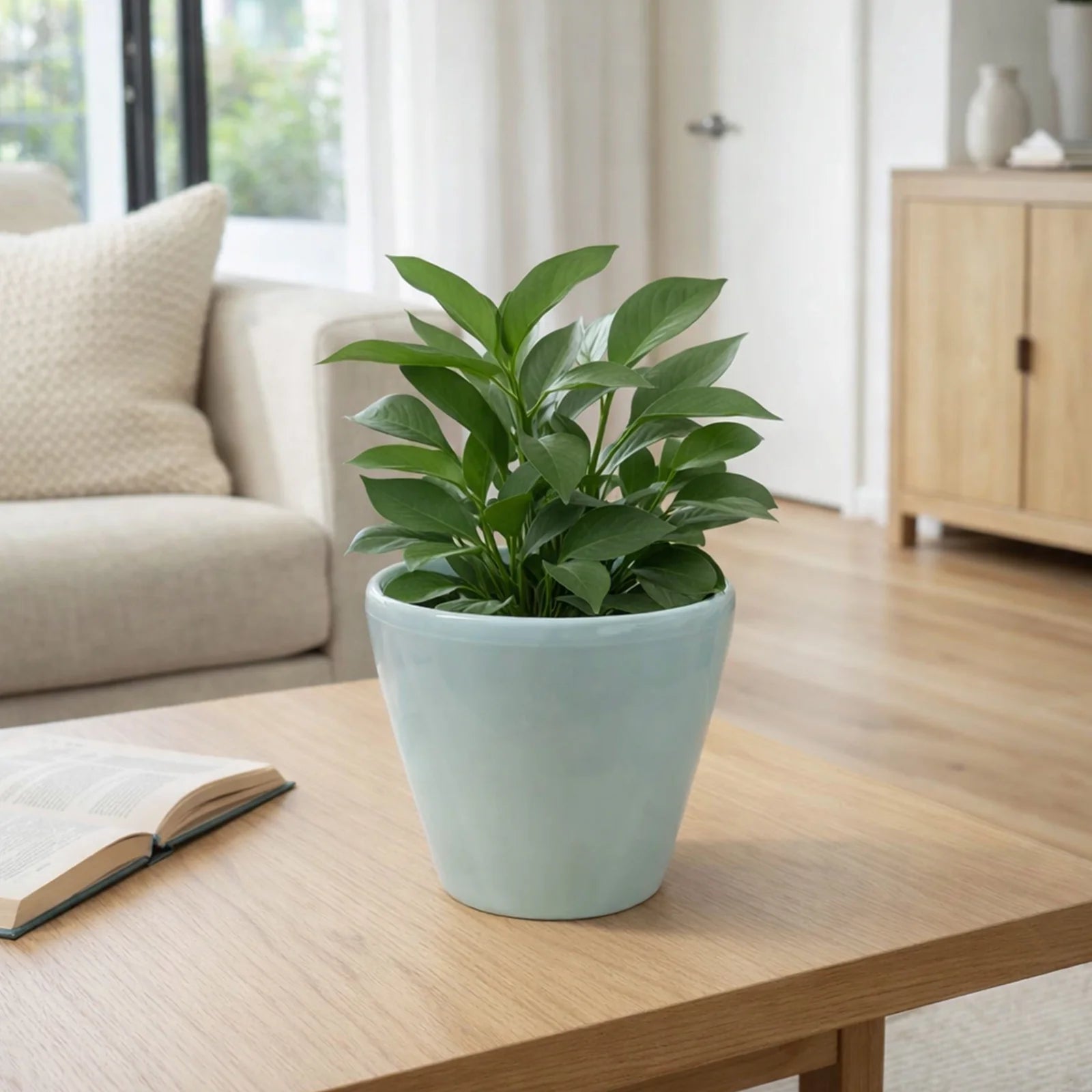 Moda 22cm Sage Round Premium Self-Watering Plastic Pot, medium sage green pot with built-in water reservoir