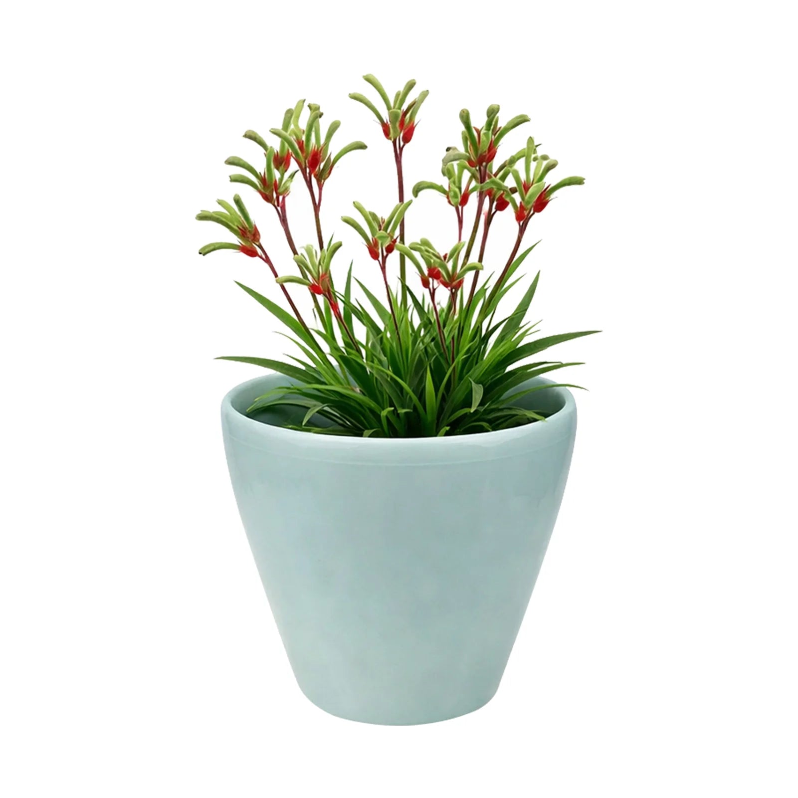 Moda 22cm Sage Round Premium Self-Watering Plastic Pot, medium sage green pot with built-in water reservoir