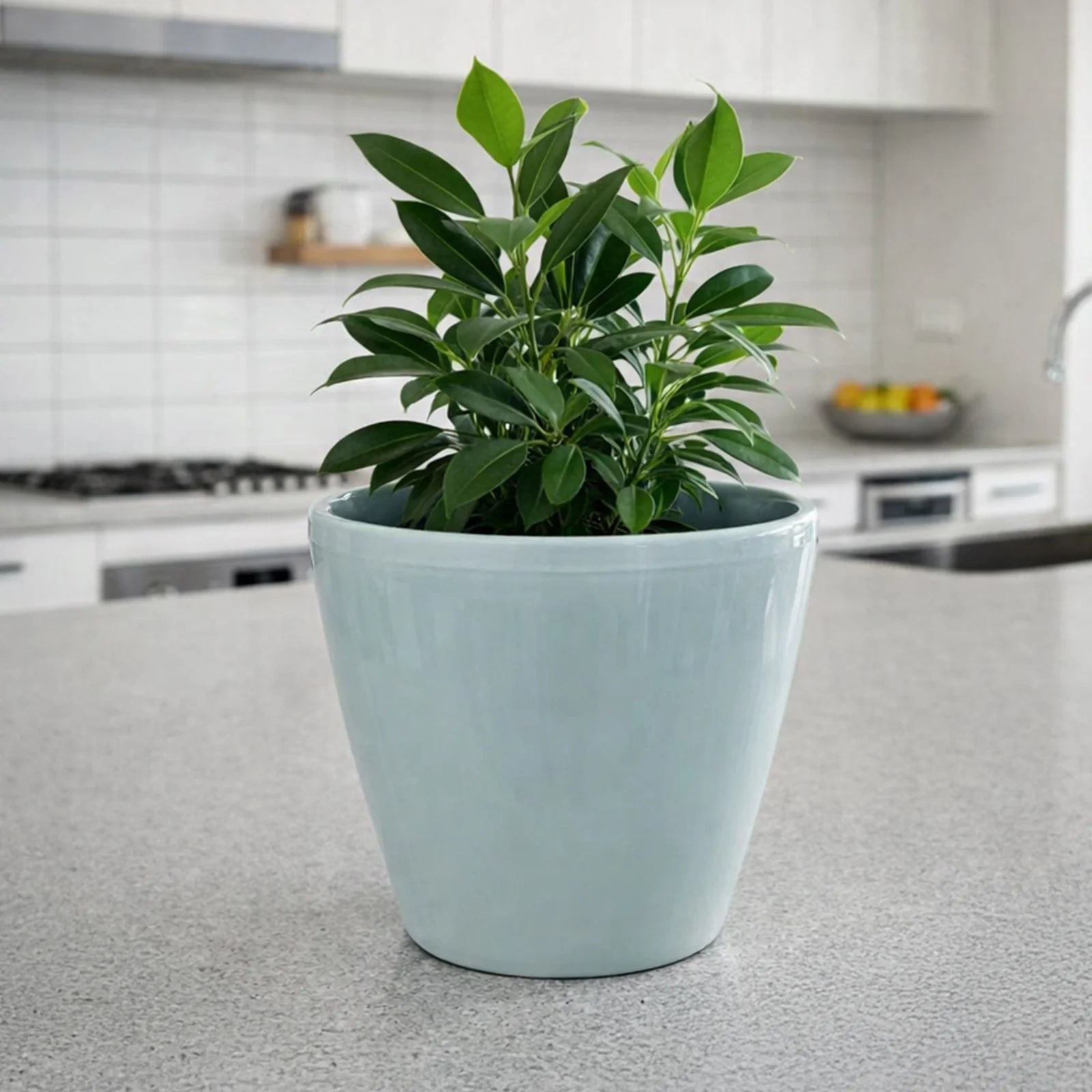 Moda 22cm Sage Round Premium Self-Watering Plastic Pot, medium sage green pot with built-in water reservoir