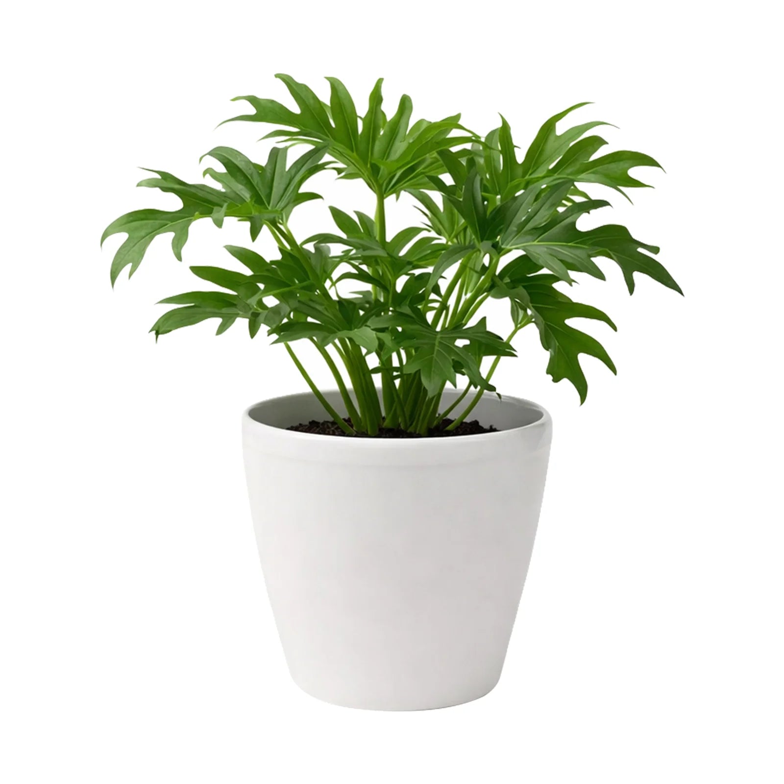Moda 22cm Warm White Round Premium Self-Watering Plastic Pot, medium warm white pot with built-in water reservoir