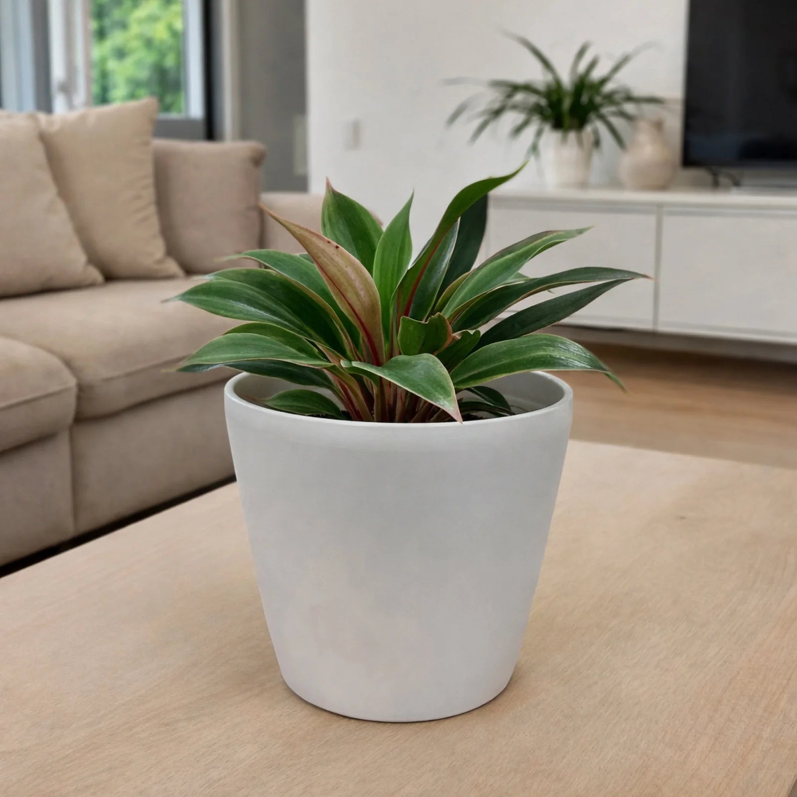 Moda 22cm Warm White Round Premium Self-Watering Plastic Pot, medium warm white pot with built-in water reservoir