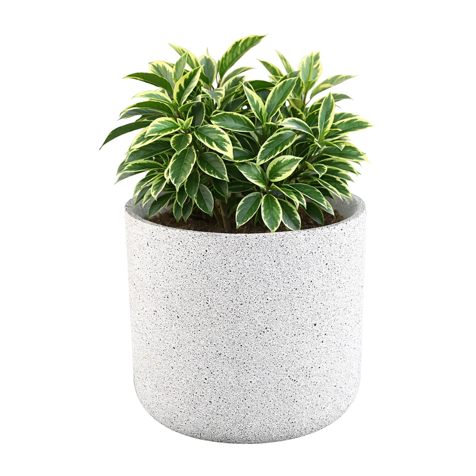Moda 22cm White Stonelite Sphere Planter, medium round ball-shaped white lightweight stone-look pot