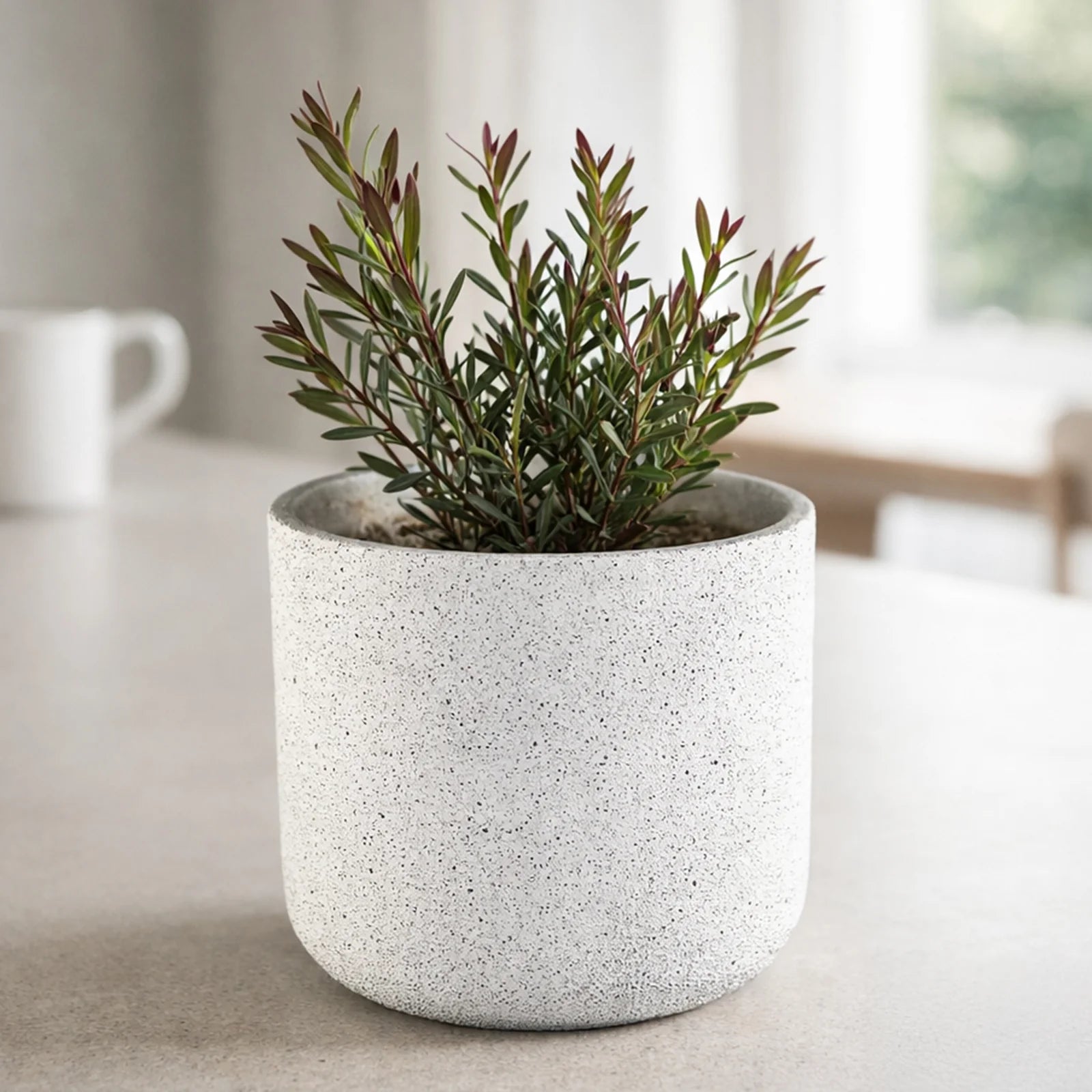 Moda 22cm White Stonelite Sphere Planter, medium round ball-shaped white lightweight stone-look pot