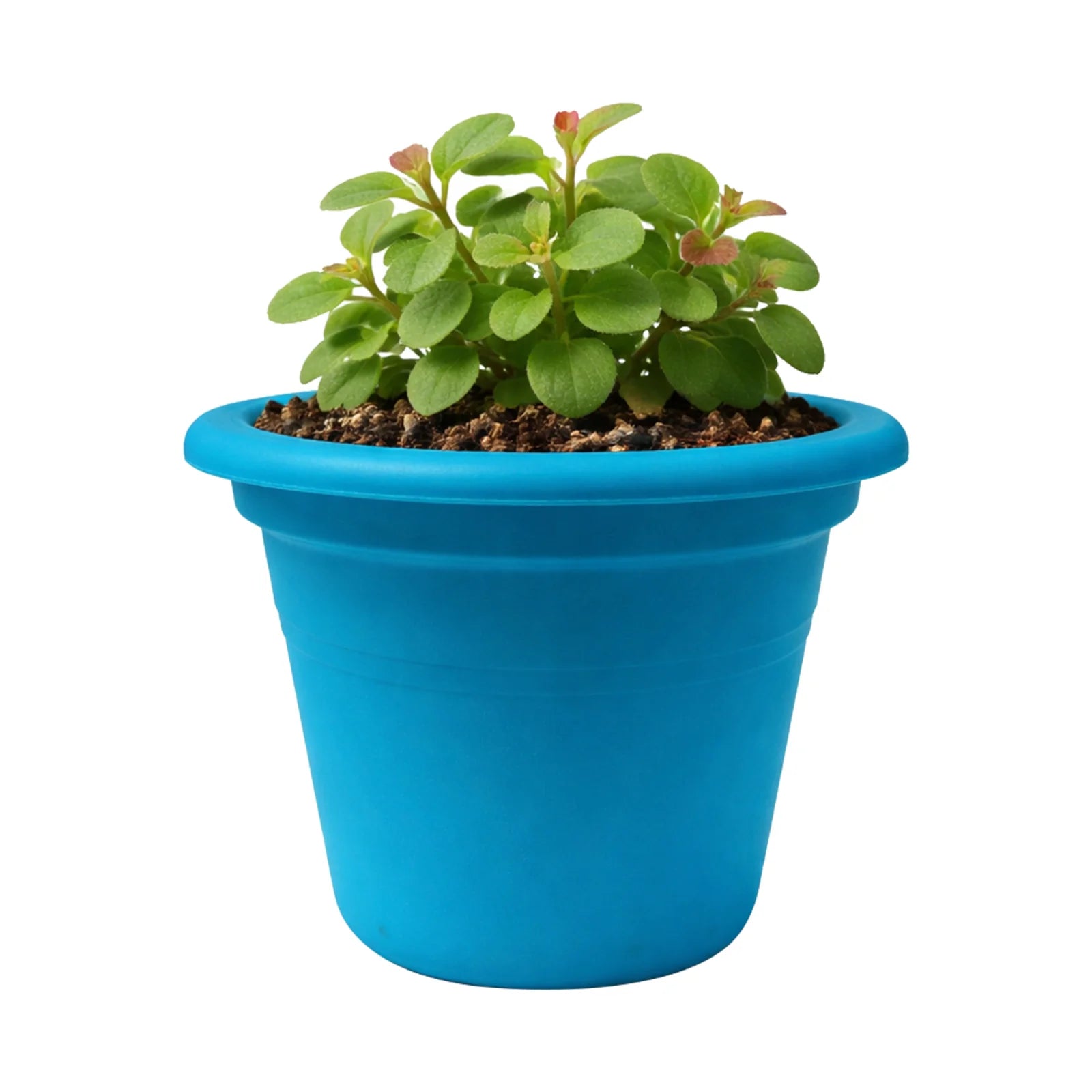 Moda 25cm Aqua Round Transparent Cylinder Planter, medium aqua transparent cylindrical plastic pot for indoor plants