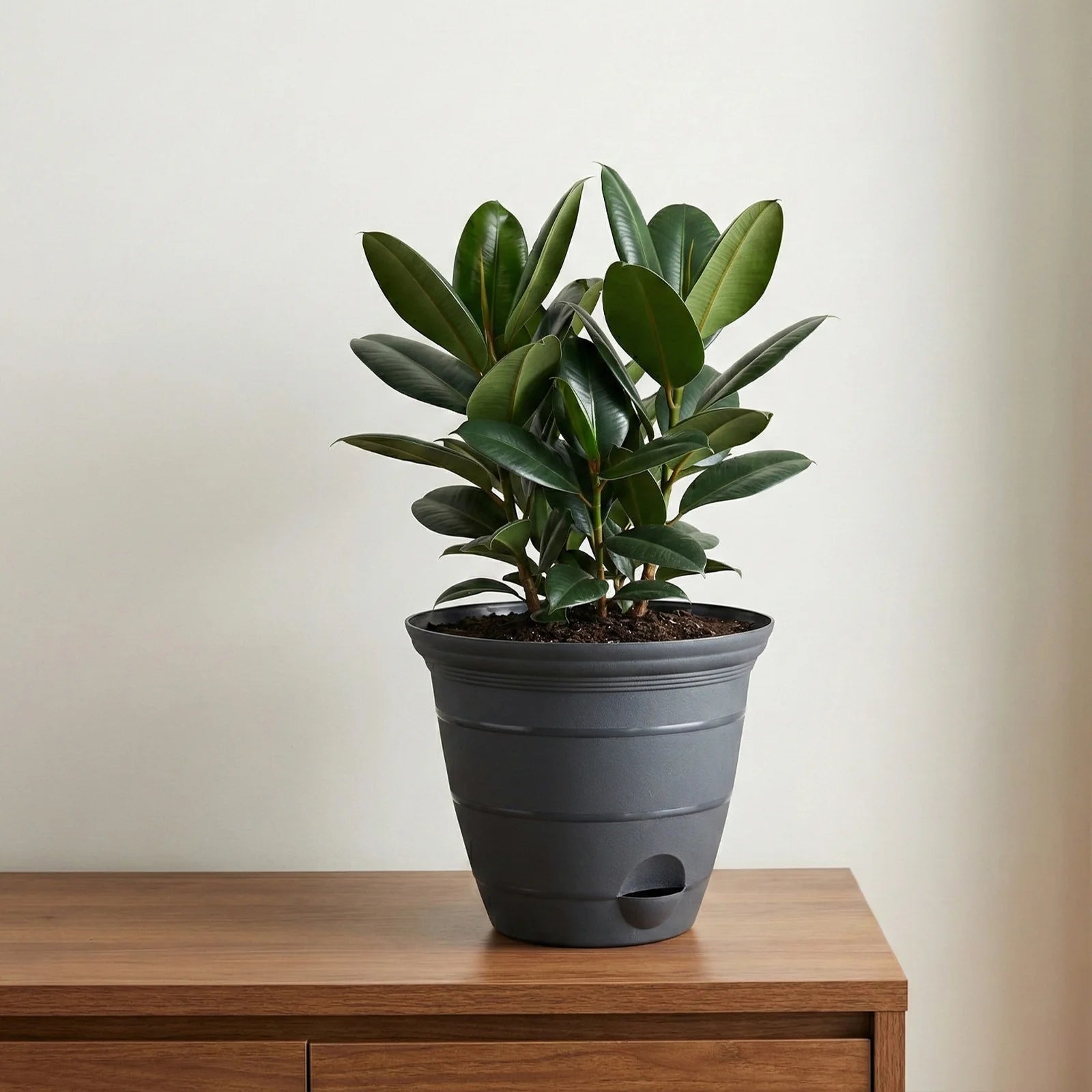 Moda 25cm Charcoal Roman Self-Watering Planter, large charcoal classic-style pot with built-in water reservoir