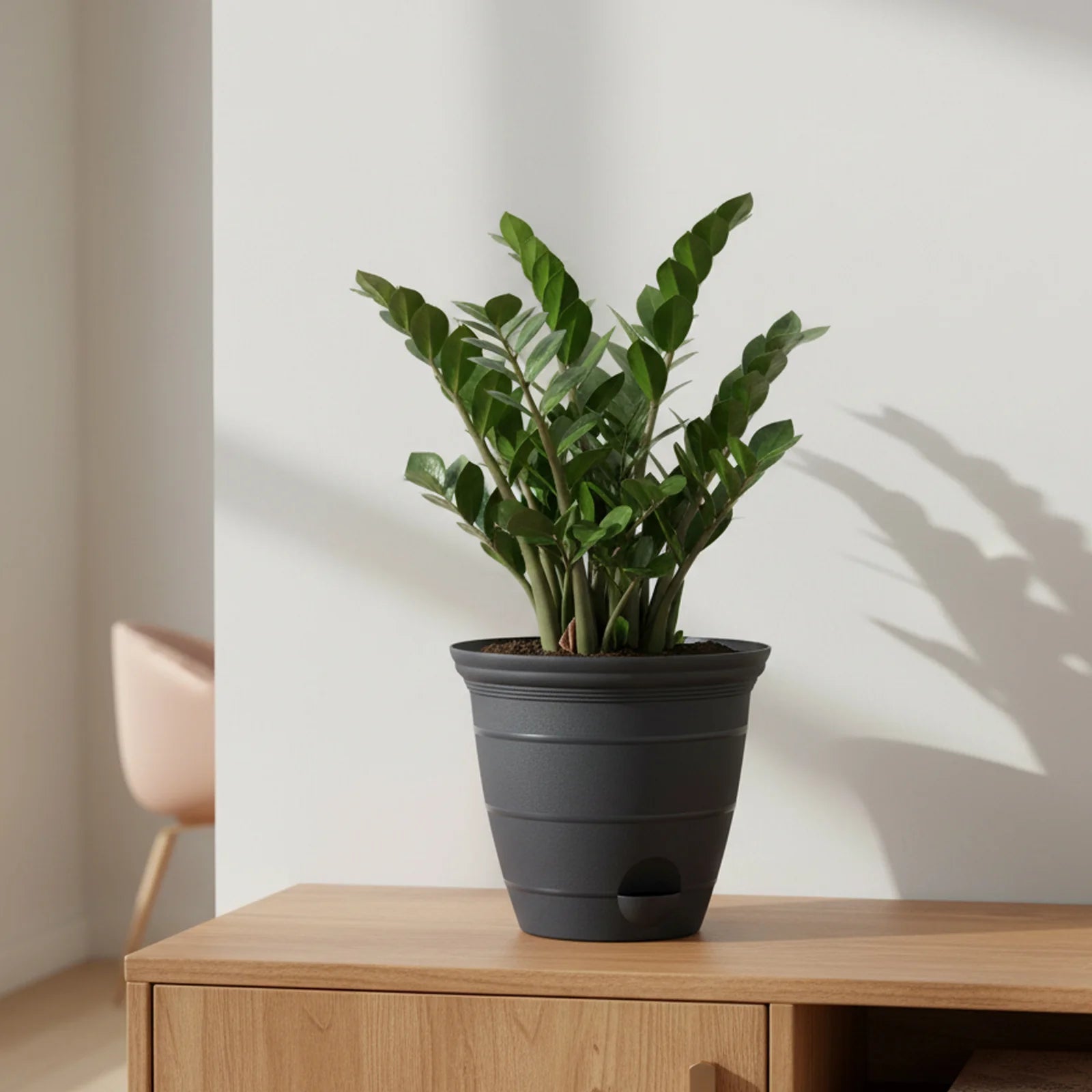 Moda 25cm Charcoal Roman Self-Watering Planter, large charcoal classic-style pot with built-in water reservoir