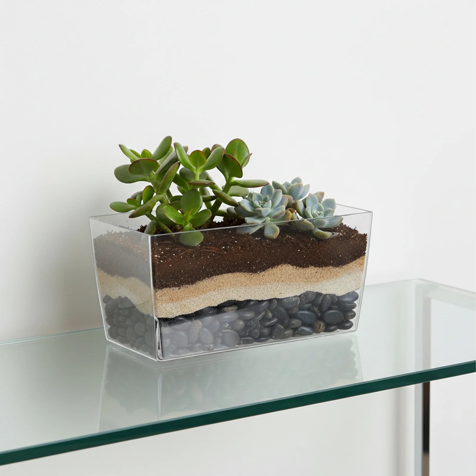 Moda 25cm Clear Coimbra Planter, transparent plastic round pot for showcasing plant roots