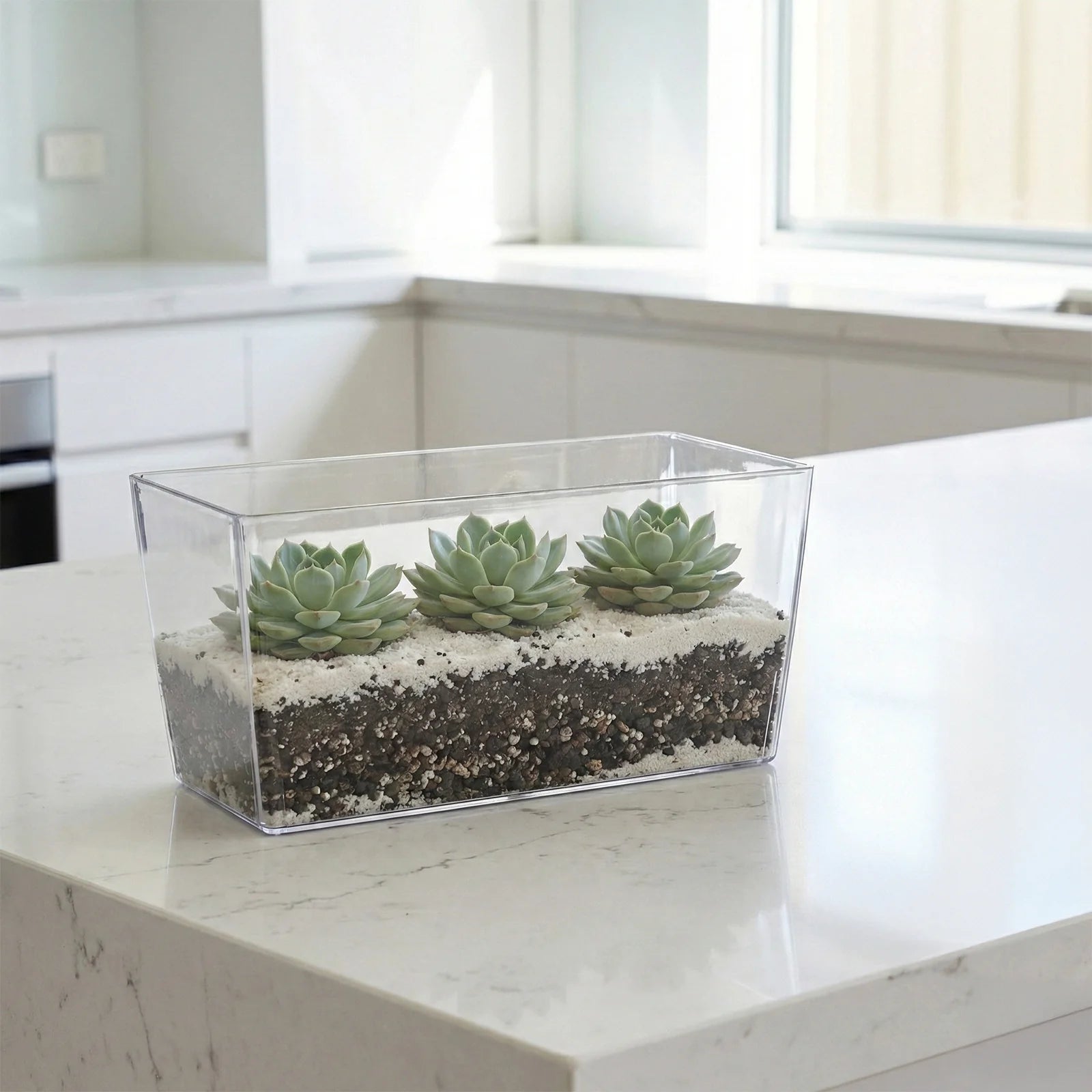 Moda 25cm Clear Coimbra Planter, transparent plastic round pot for showcasing plant roots