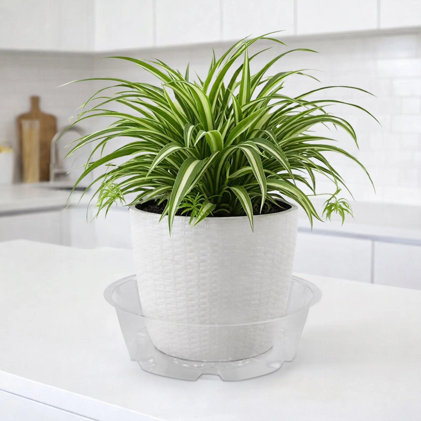 Moda 25cm Clear Vinyl Pot Saucer, extra large flexible clear vinyl drip tray for indoor pots
