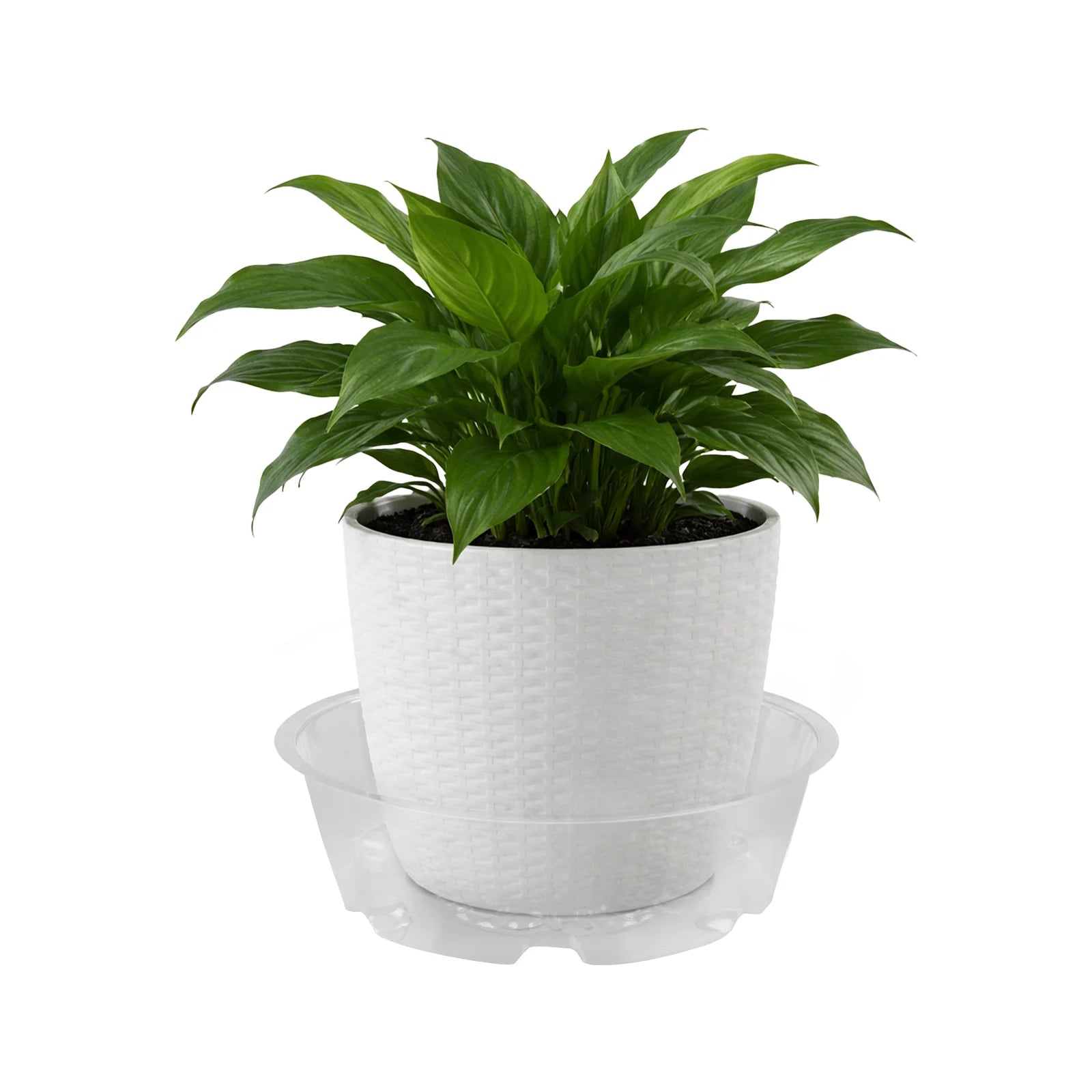 Moda 25cm Clear Vinyl Pot Saucer, extra large flexible clear vinyl drip tray for indoor pots
