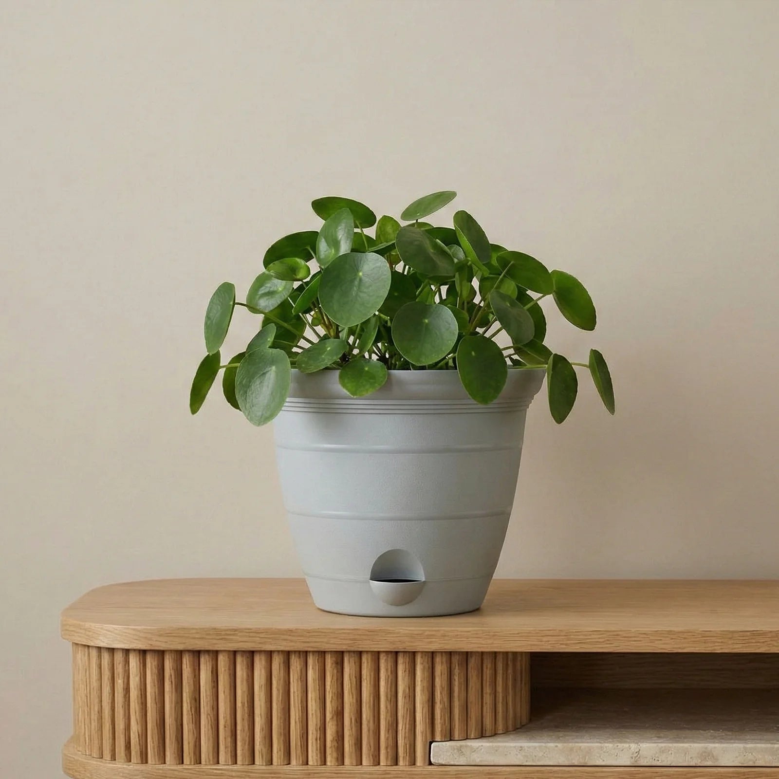 Moda 25cm Grey Roman Self-Watering Planter, large grey classic-style pot with built-in water reservoir