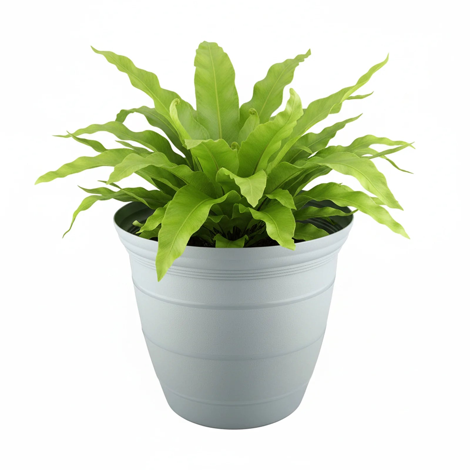 Moda 25cm Grey Roman Self-Watering Planter, large grey classic-style pot with built-in water reservoir