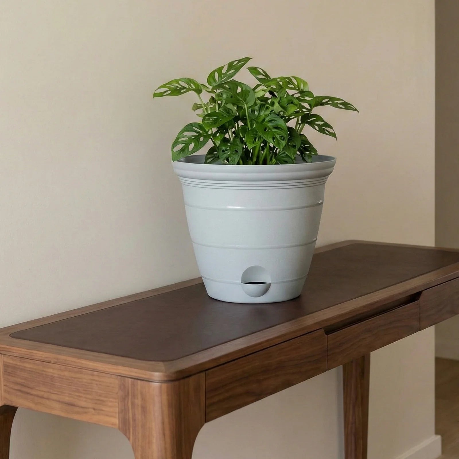 Moda 25cm Grey Roman Self-Watering Planter, large grey classic-style pot with built-in water reservoir