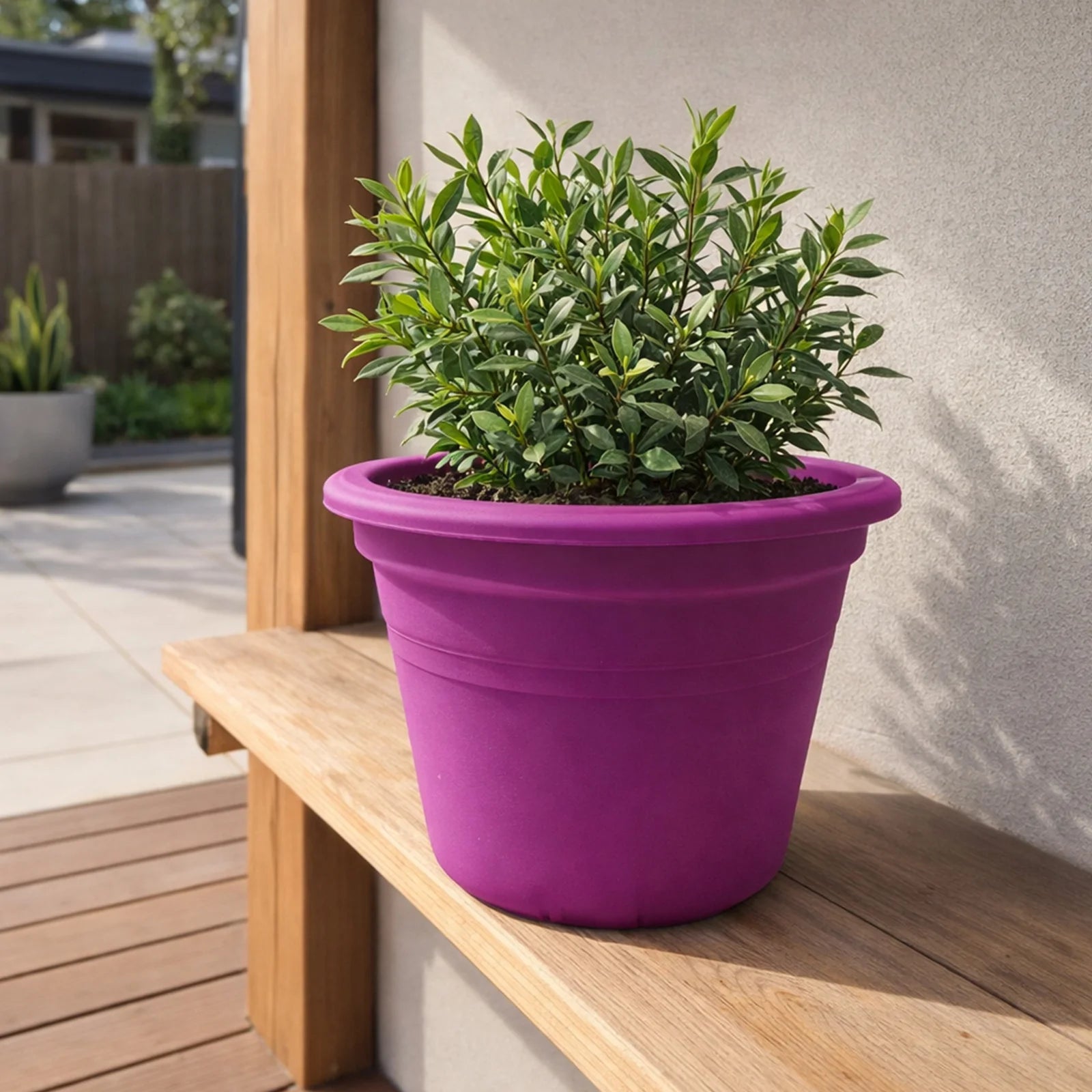 Moda 25cm Purple Round Transparent Cylinder Planter, medium purple transparent cylindrical plastic pot for indoor plants