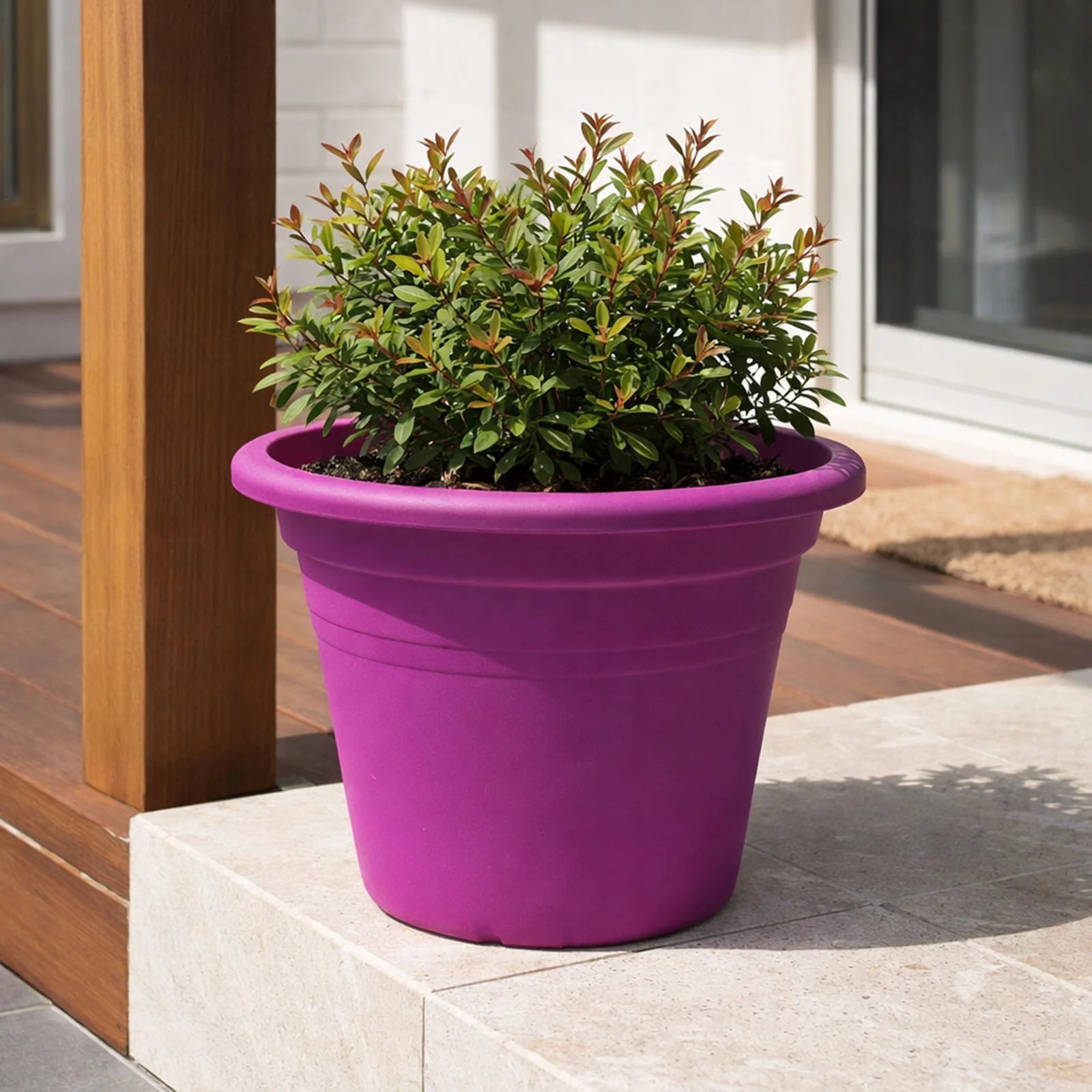 Moda 25cm Purple Round Transparent Cylinder Planter, medium purple transparent cylindrical plastic pot for indoor plants