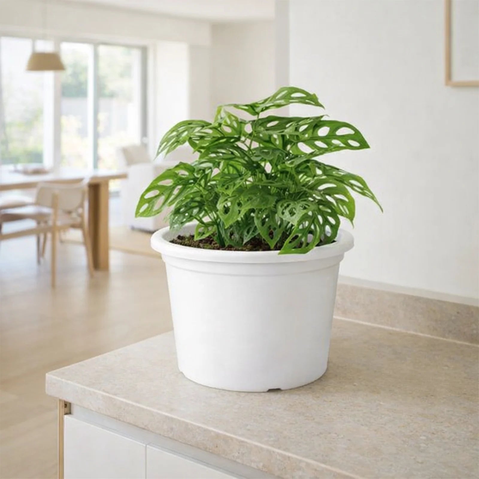 Moda 25cm White Round Transparent Cylinder Planter, medium white transparent cylindrical plastic pot for indoor plants