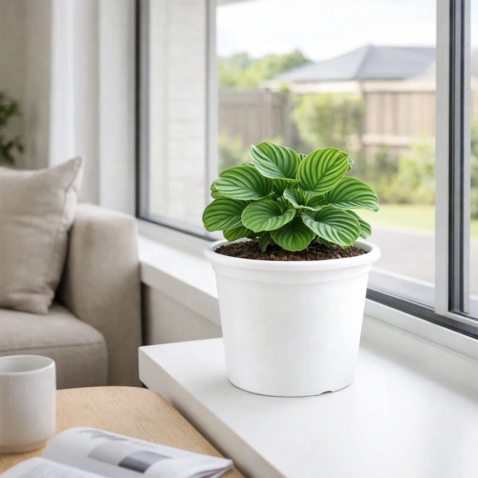 Moda 25cm White Round Transparent Cylinder Planter, medium white transparent cylindrical plastic pot for indoor plants