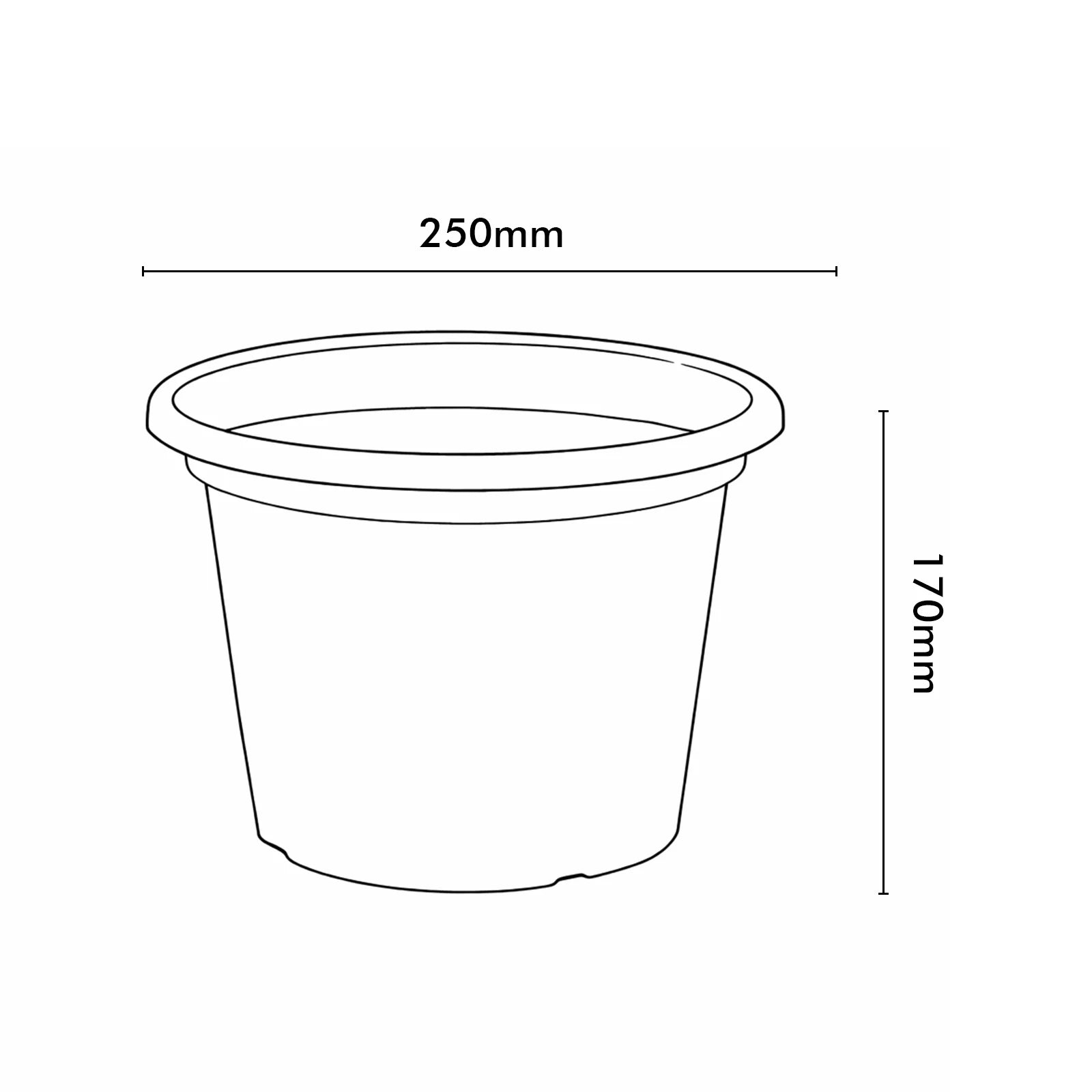 Moda 25cm White Round Transparent Cylinder Planter, medium white transparent cylindrical plastic pot for indoor plants