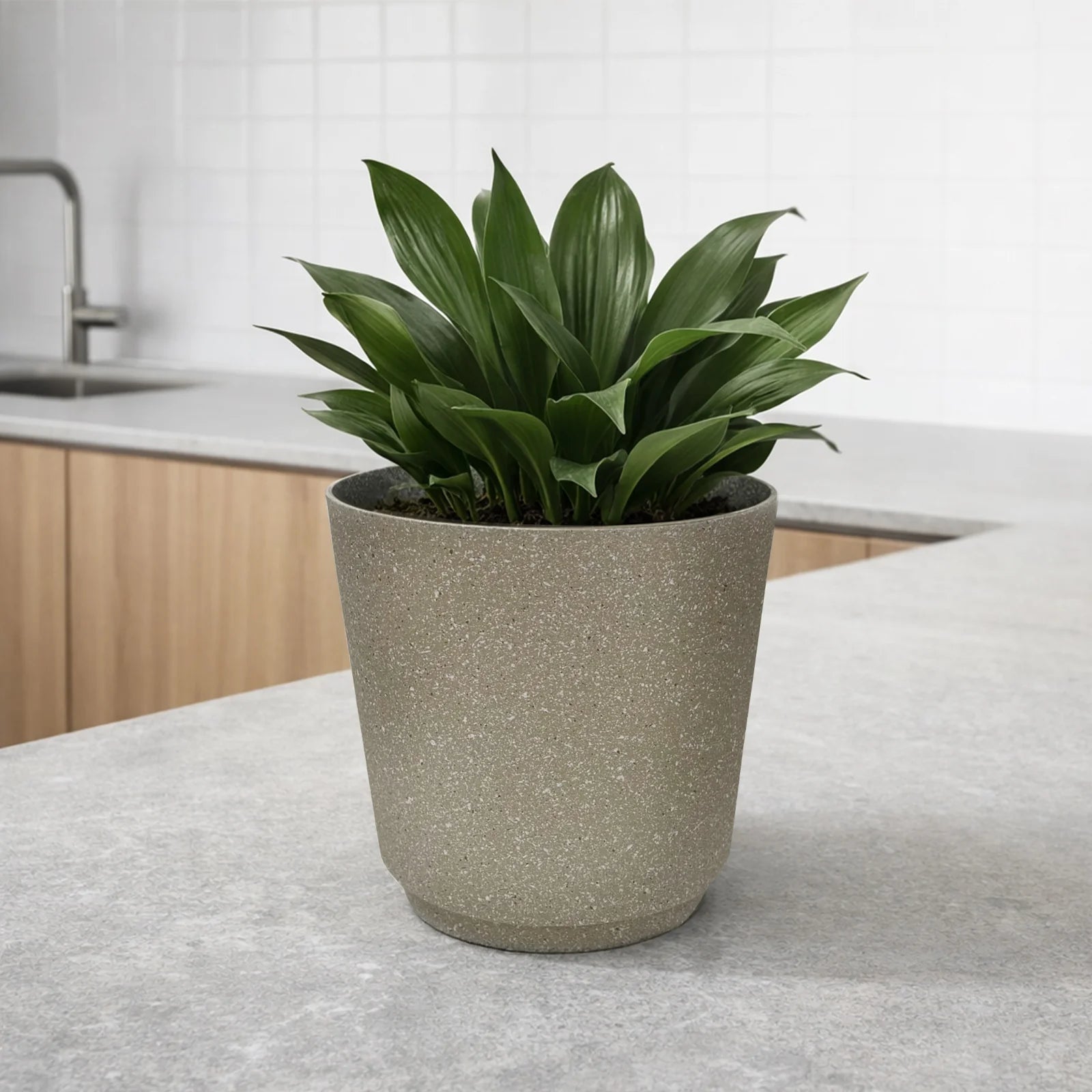 Moda 28cm Beige Round StoneLite Self-Watering Plastic Pot, large beige stone-look pot with self-watering reservoir