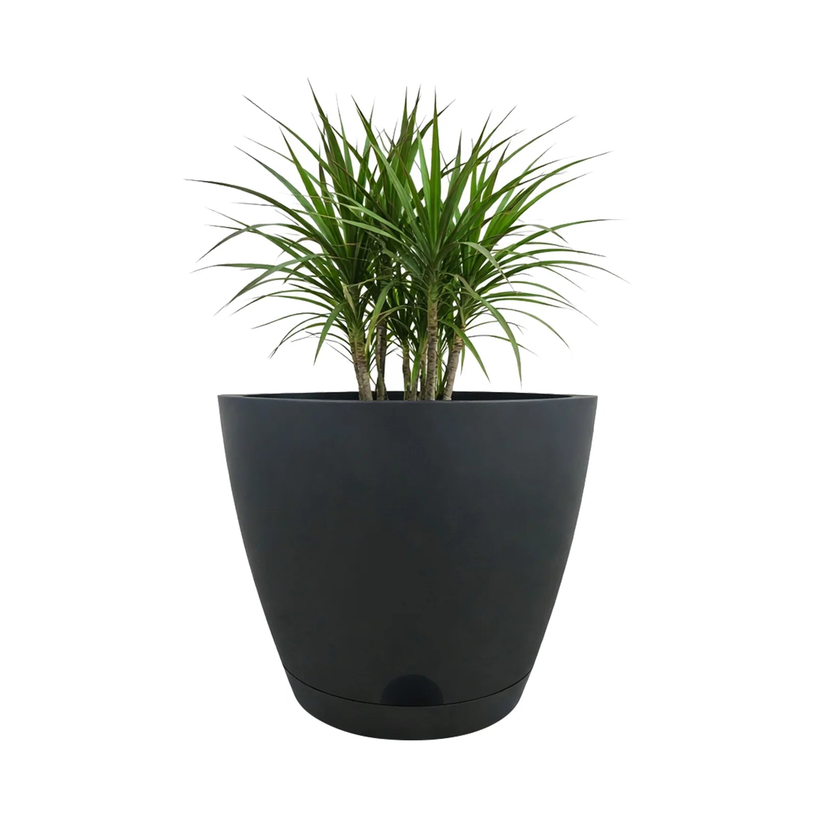 Moda 28cm Charcoal Oslo Self-Watering Planter, large charcoal modern round pot with built-in water reservoir