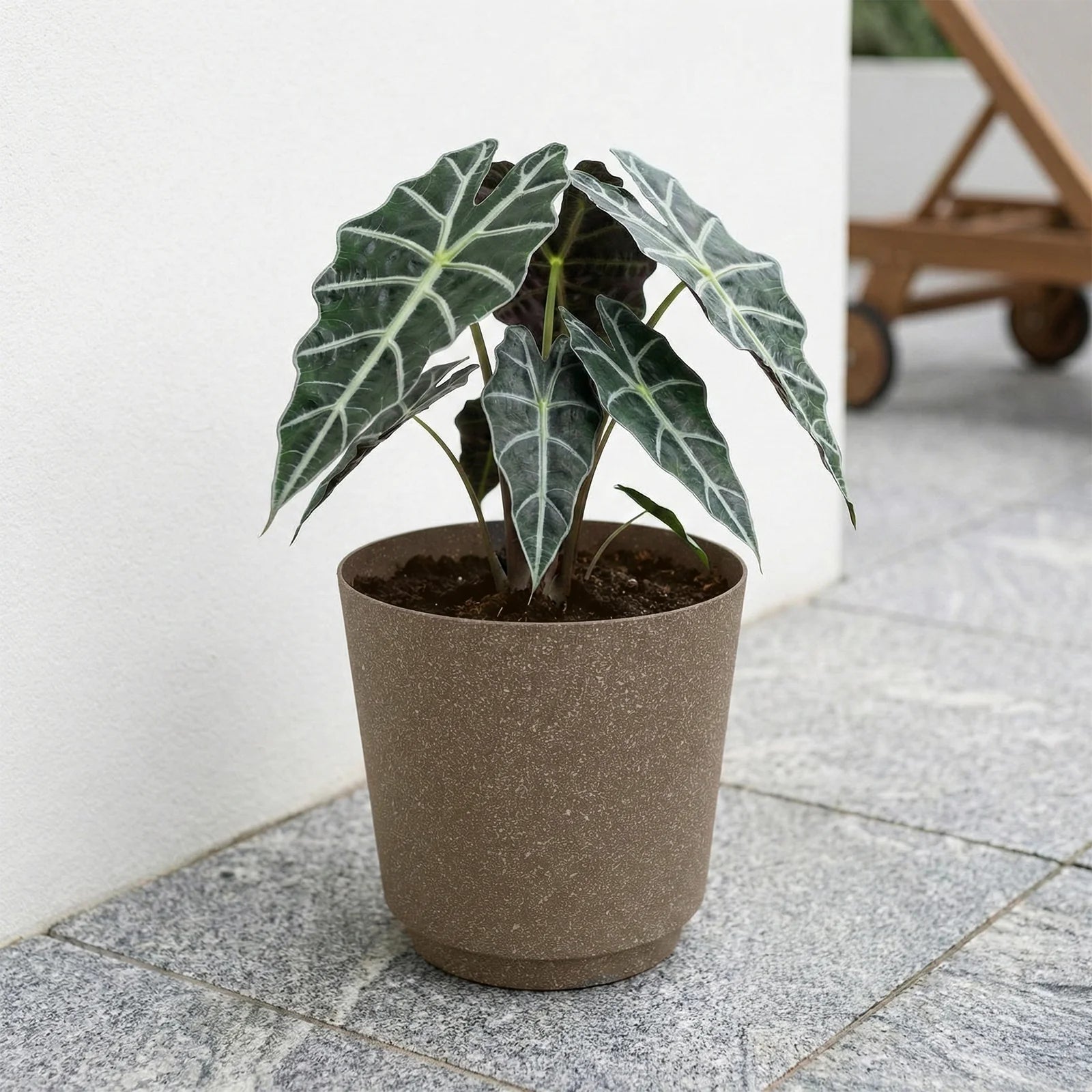 Moda 28cm Brown Round Stonelite Self-Watering Plastic Pot, large brown stone-look pot with self-watering reservoir