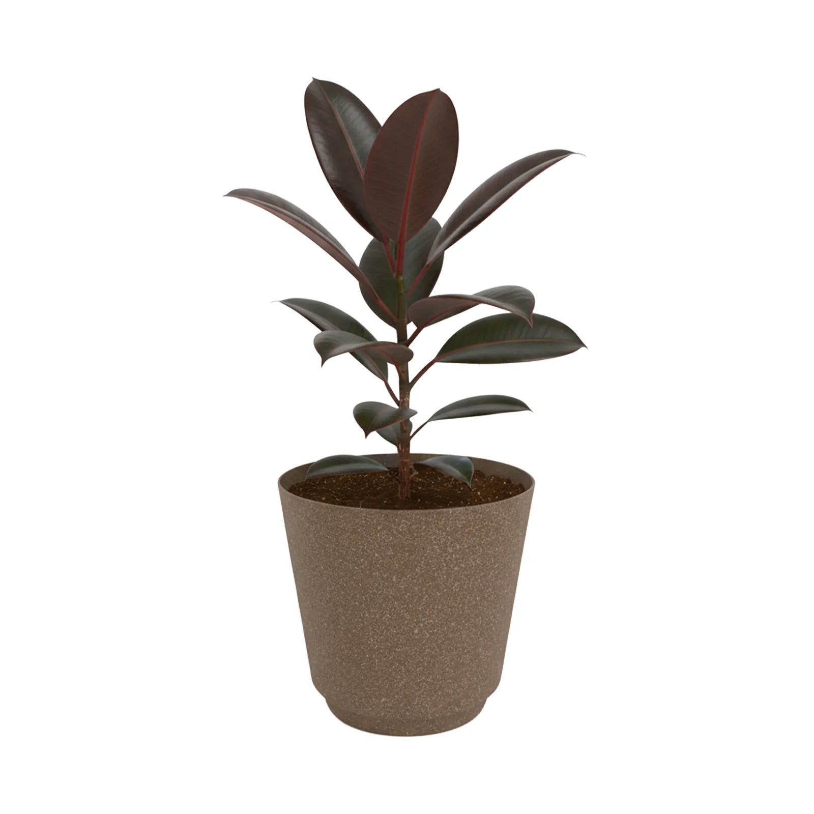 Moda 28cm Brown Round Stonelite Self-Watering Plastic Pot, large brown stone-look pot with self-watering reservoir