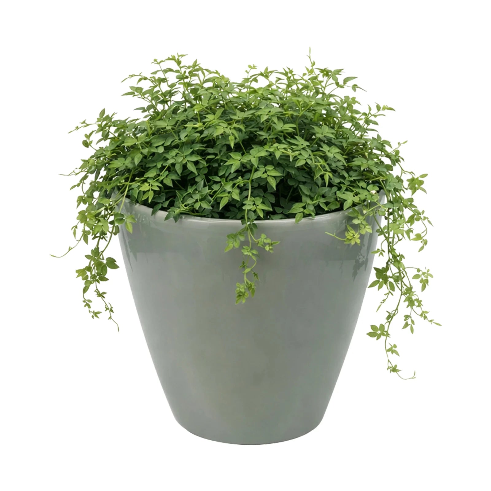 Moda 28cm Sage Round Premium Self-Watering Plastic Pot, large sage green pot with built-in water reservoir