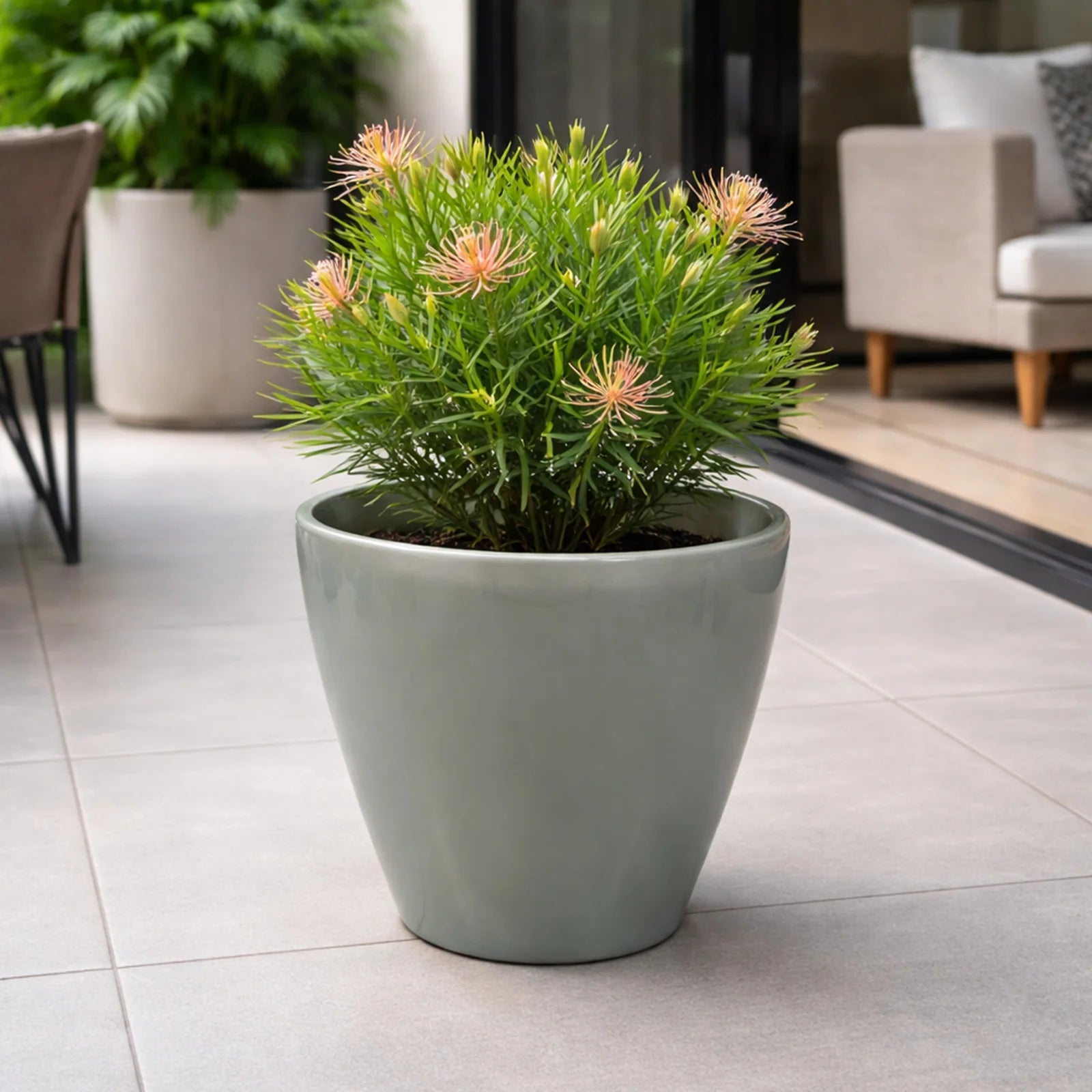 Moda 28cm Sage Round Premium Self-Watering Plastic Pot, large sage green pot with built-in water reservoir