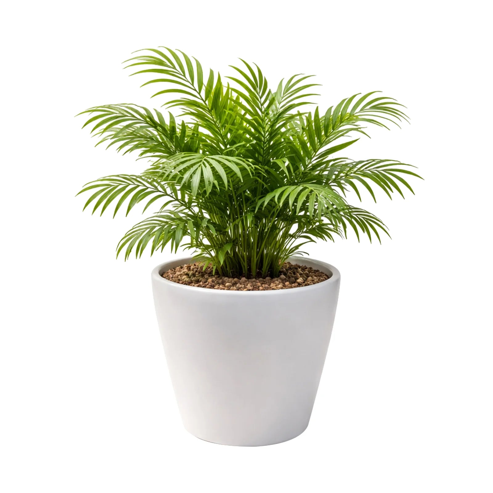 Moda 28cm Warm White Round Premium Self-Watering Plastic Pot, large warm white pot with built-in water reservoir