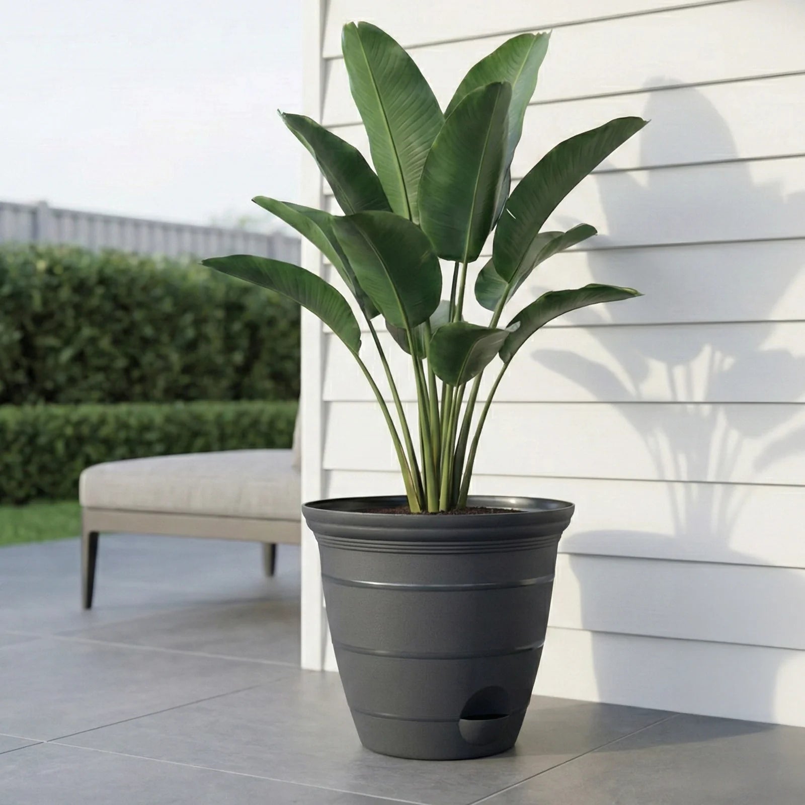 Moda 30cm Charcoal Roman Self-Watering Planter, extra large charcoal classic-style pot with built-in water reservoir